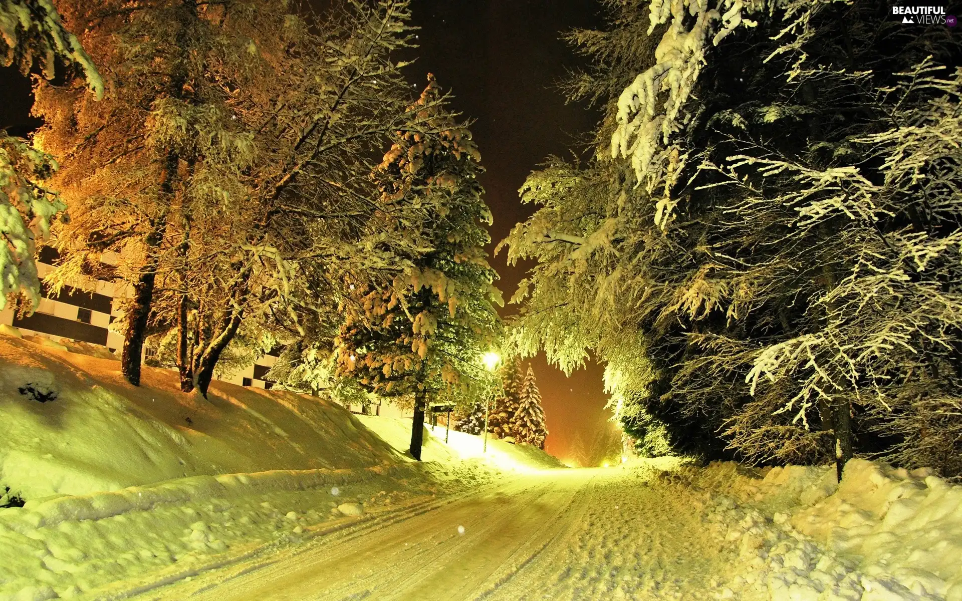 Way, viewes, snow, trees