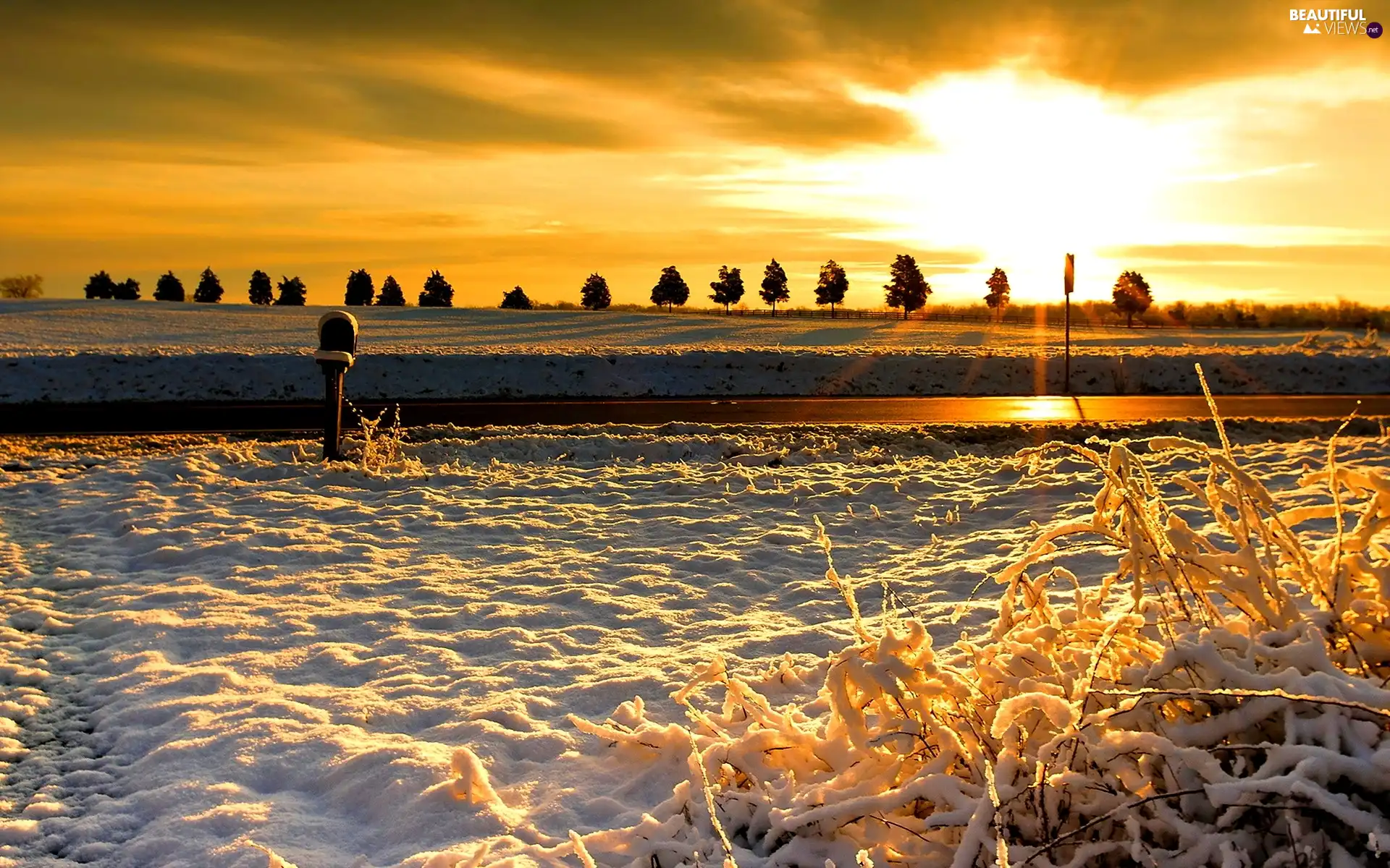 Way, west, snow, winter, field, sun