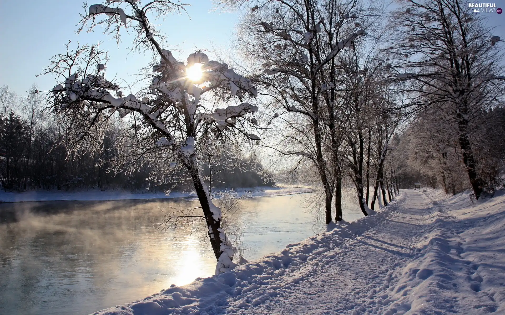 snow, winter, trees, viewes, River