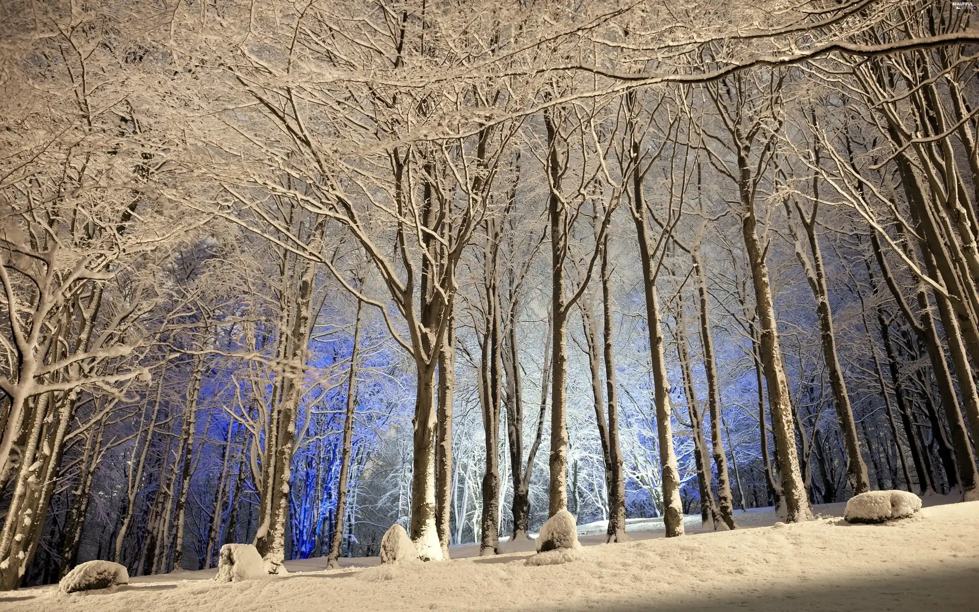 snow, winter, viewes, forest, trees