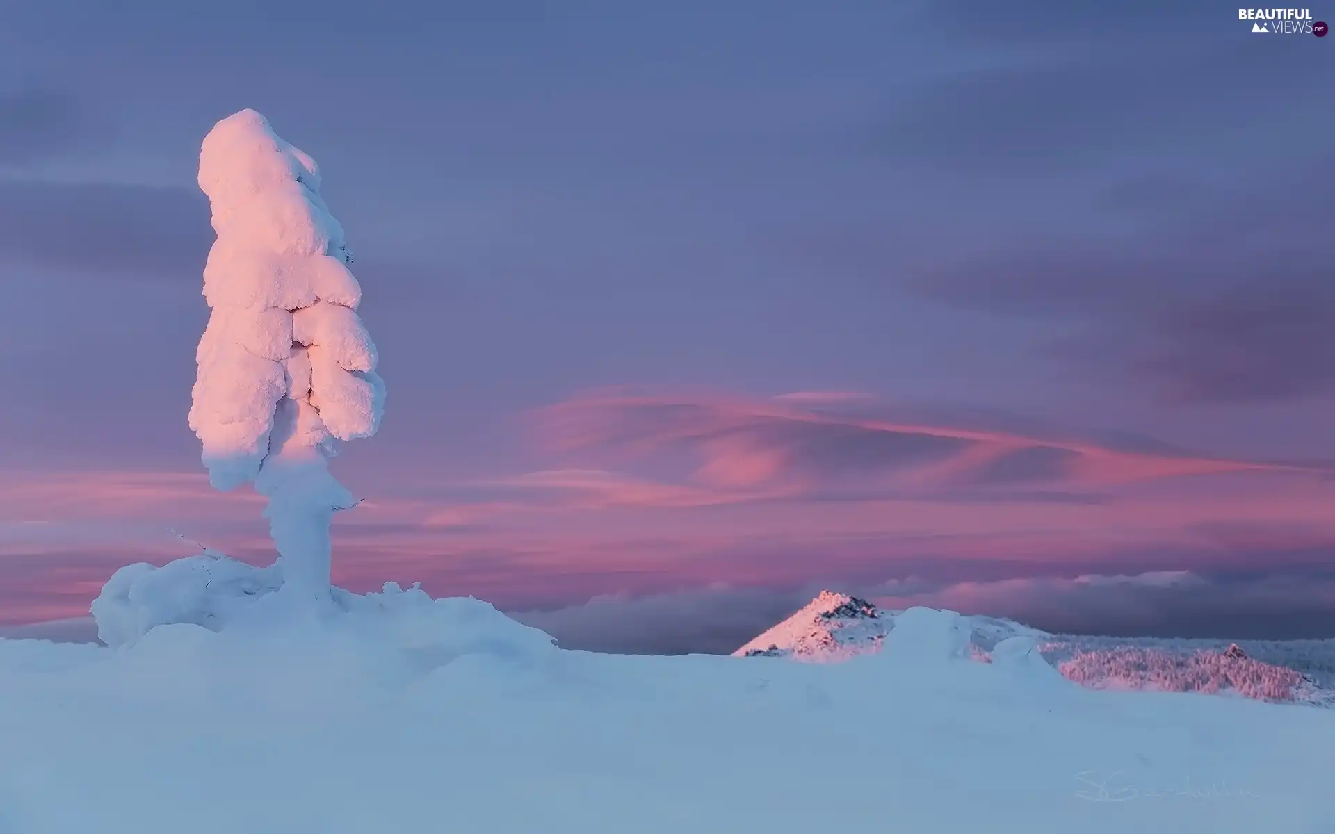 winter, Mountains, trees, snow