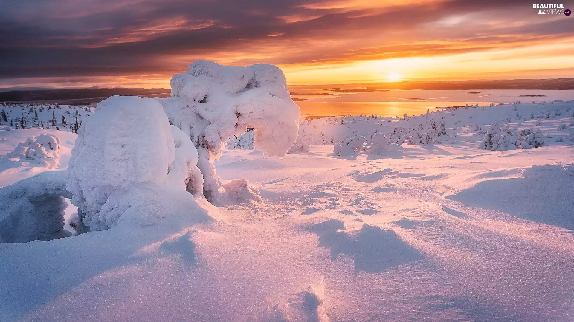 snowy, Sunrise, viewes, snow, trees, winter