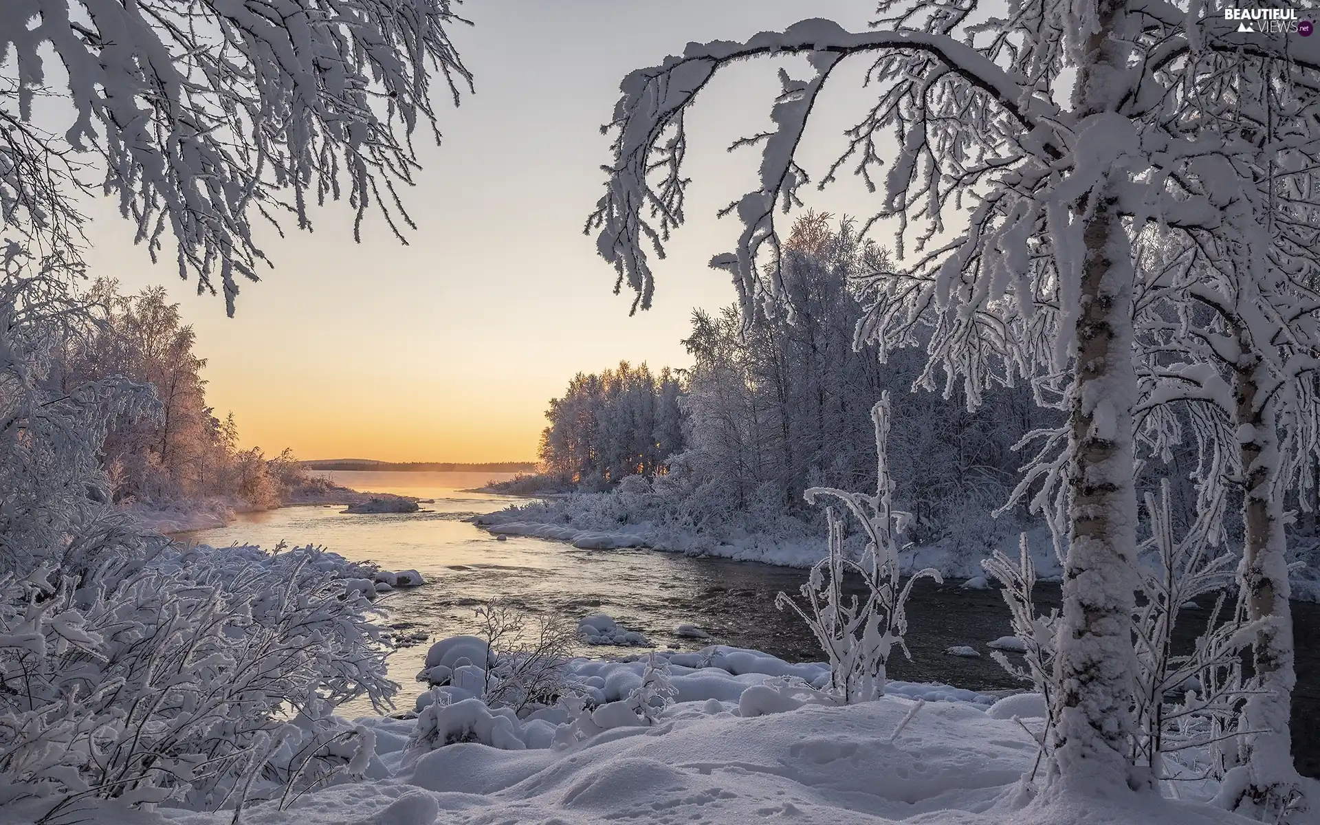 trees, River, Bush, Snowy, winter, viewes, Sunrise