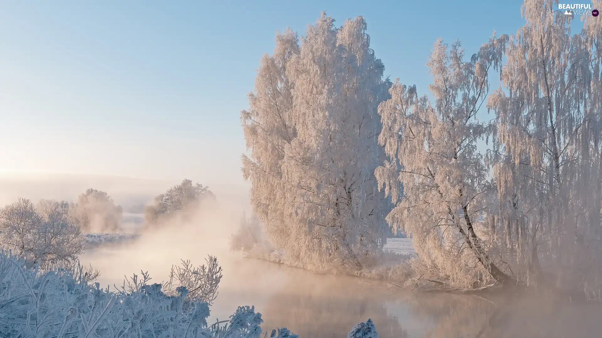trees, River, Bush, Snowy, Fogged, viewes, winter