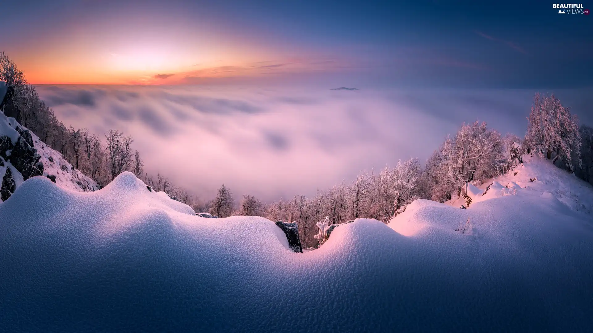 trees, Mountains, Fog, Snowy, winter, viewes, Sunrise