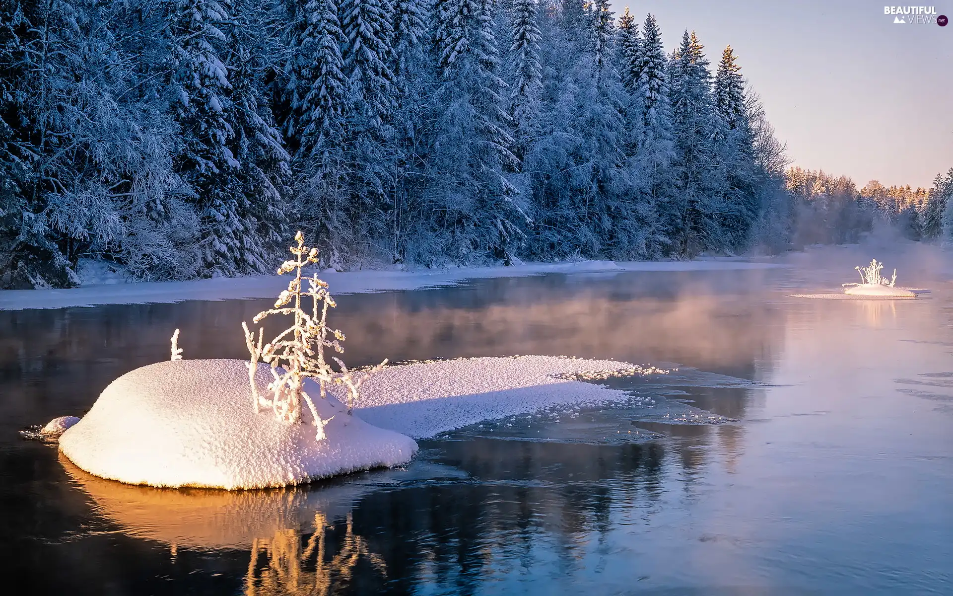 trees, River, forest, Snowy, winter, viewes, Plants