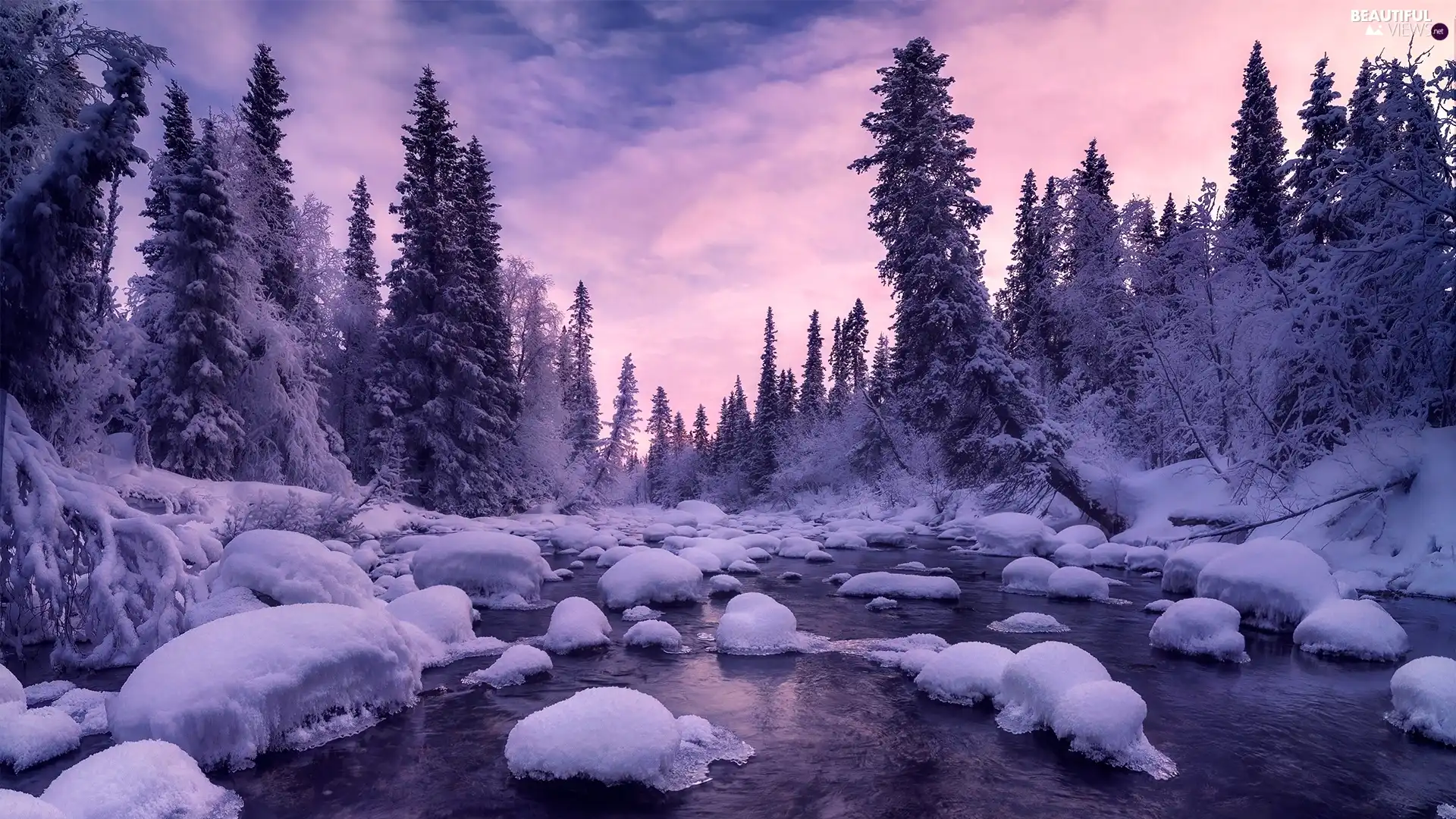 River, Kola Peninsula, viewes, winter, Russia, trees, Snowy