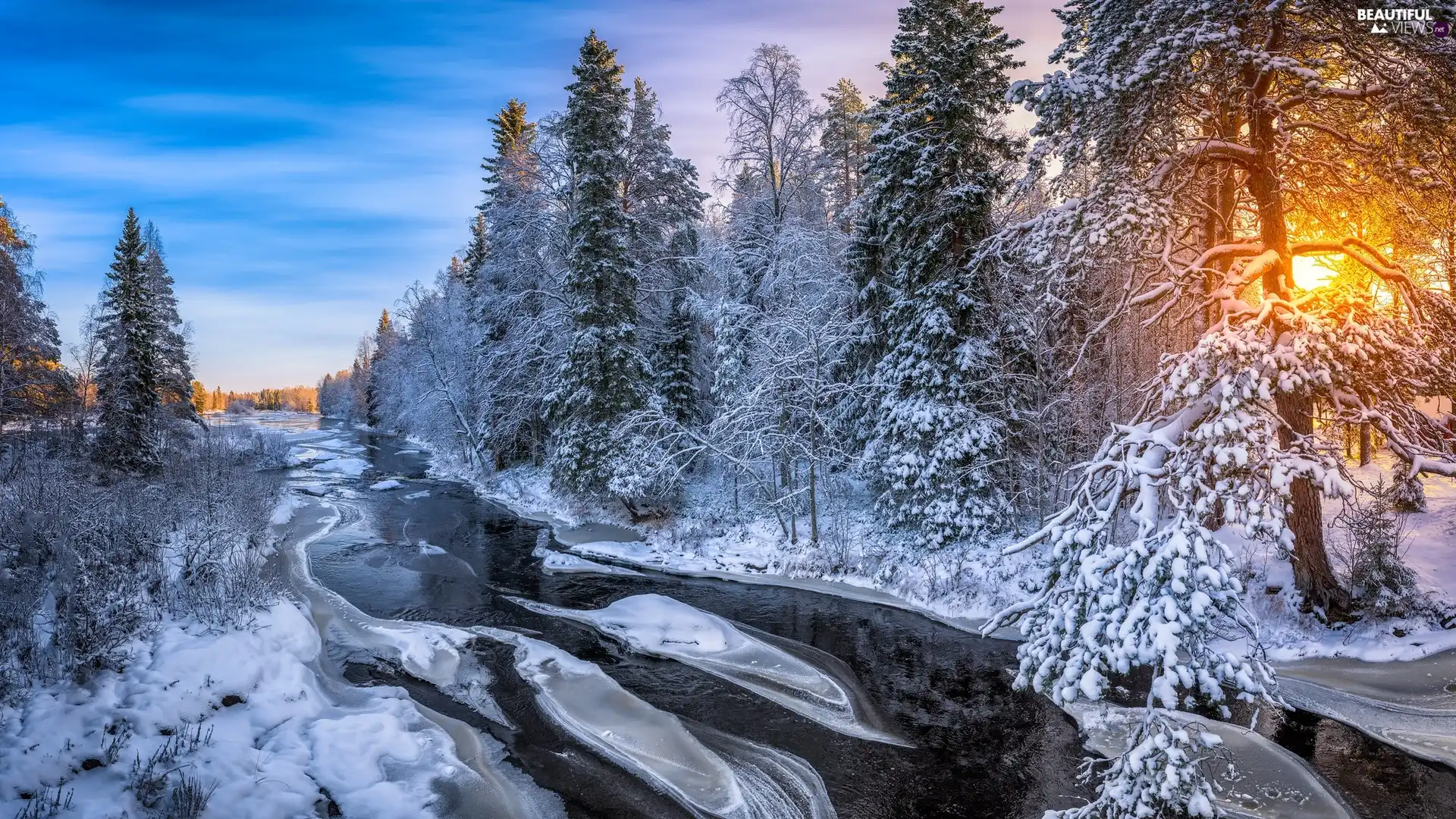 trees, forest, River, Snowy, winter, viewes, sun