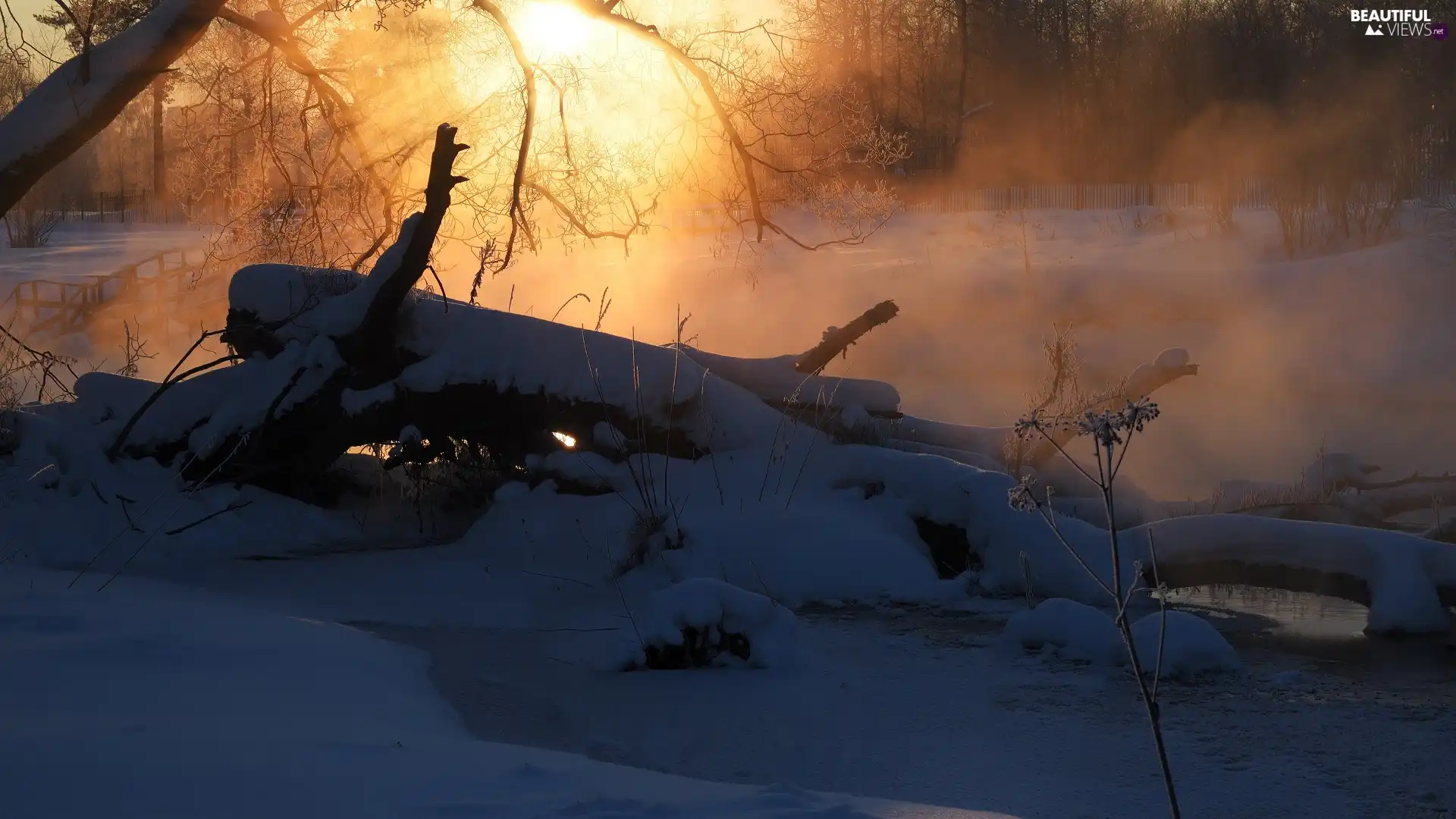 Snowy, winter, Fog, rays of the Sun, Logs, River