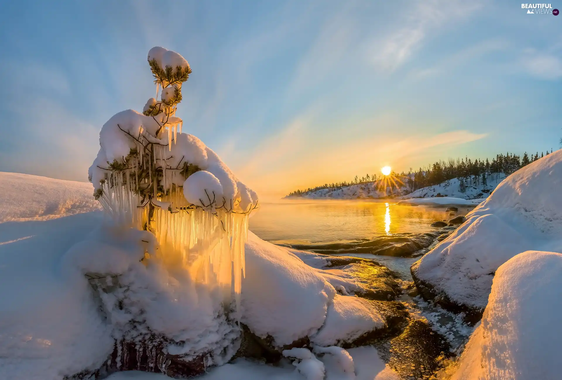 snowy, winter, icicle, rays of the Sun, sapling, lake