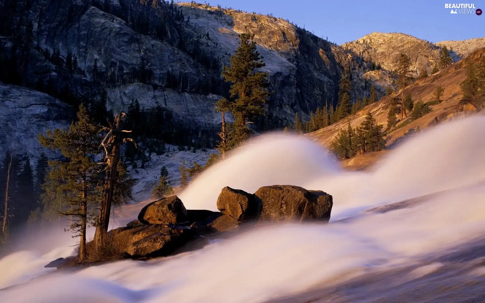 Softwood, Avalanche, trees, viewes, Mountains