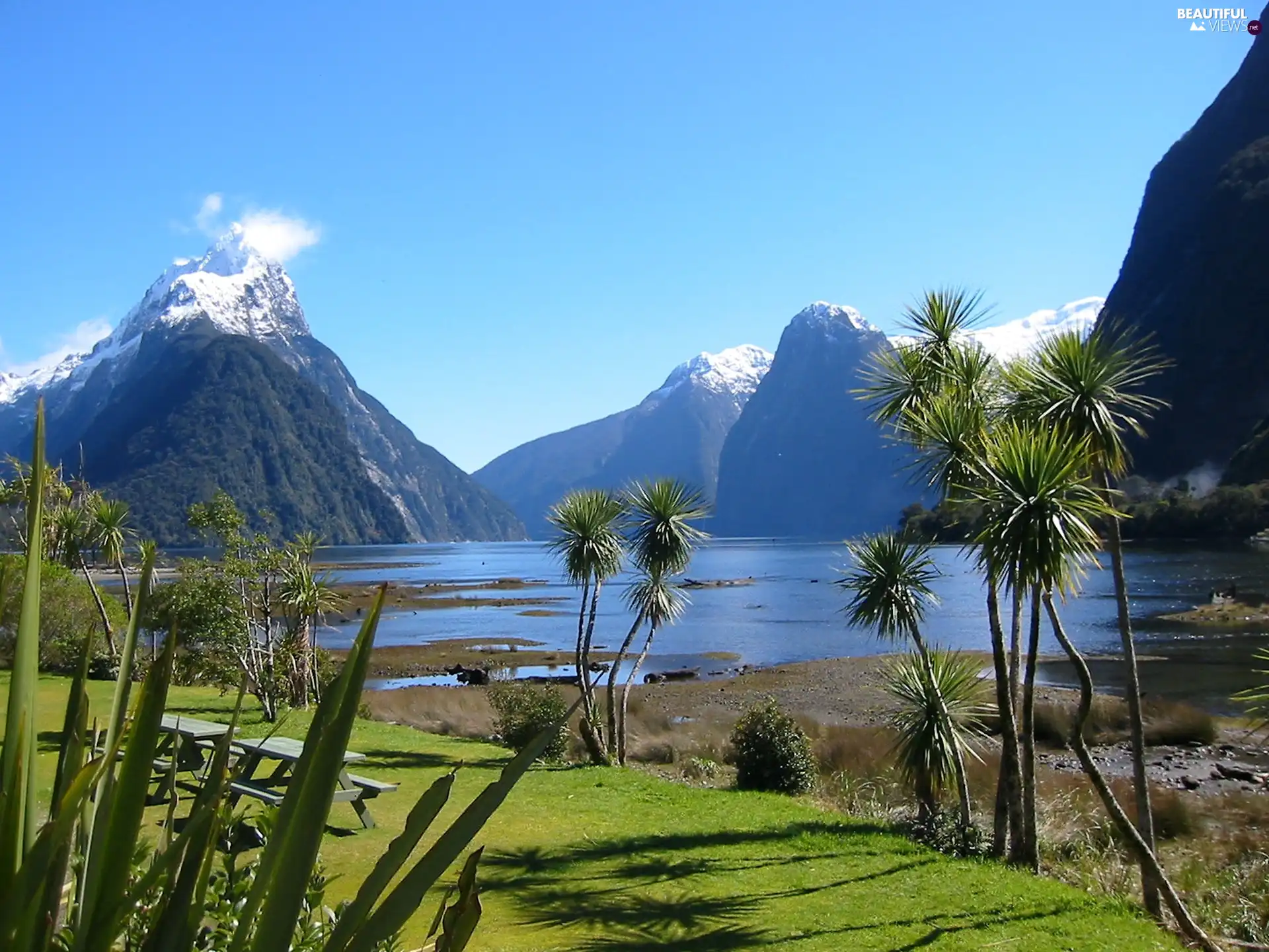 Milford Sound, New Zeland, Mountains, VEGETATION, lake