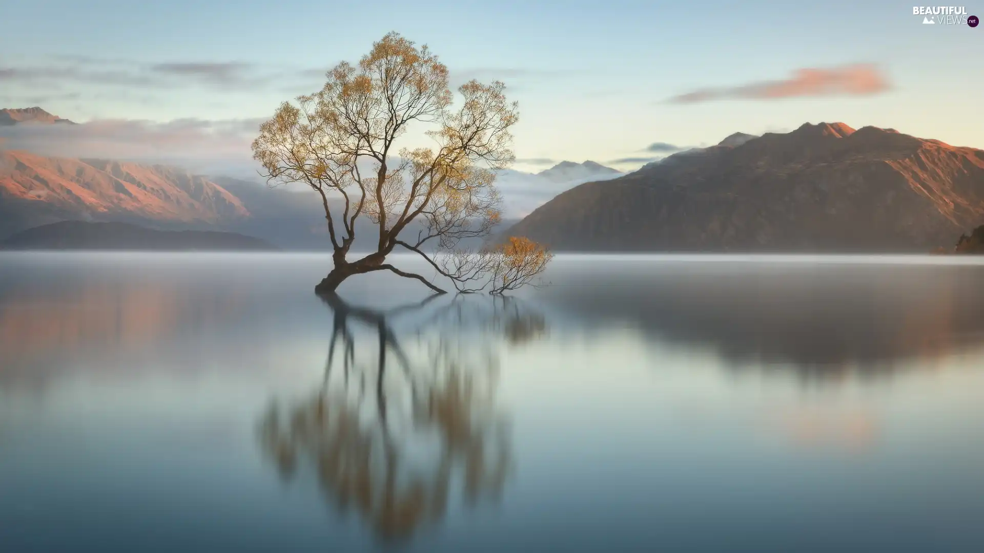 Wanaka Lake, trees, New Zeland, autumn, South Island, morning, Sunrise, reflection