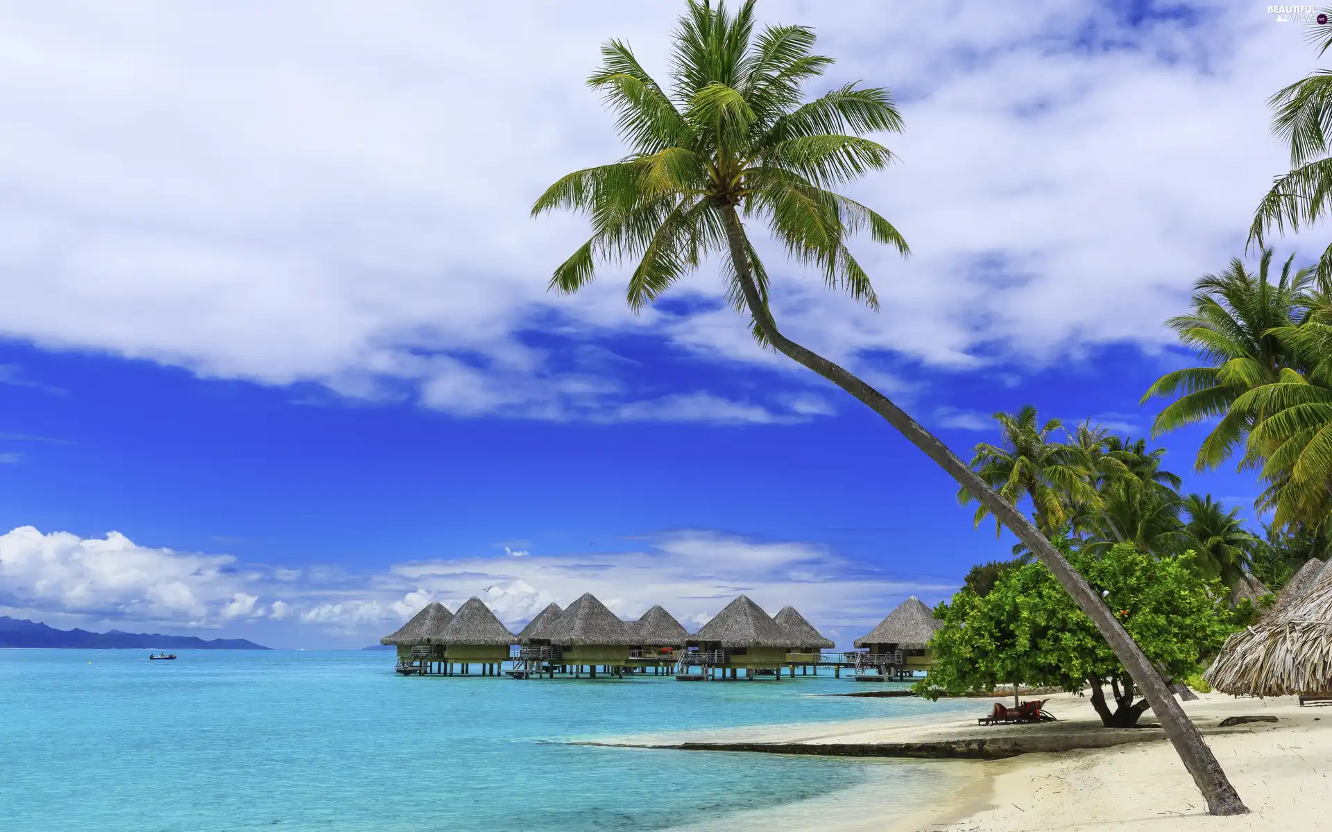 Moorea Island, French Polynesia, holiday, Beaches, Tropical, holiday, Houses, spa, Palms