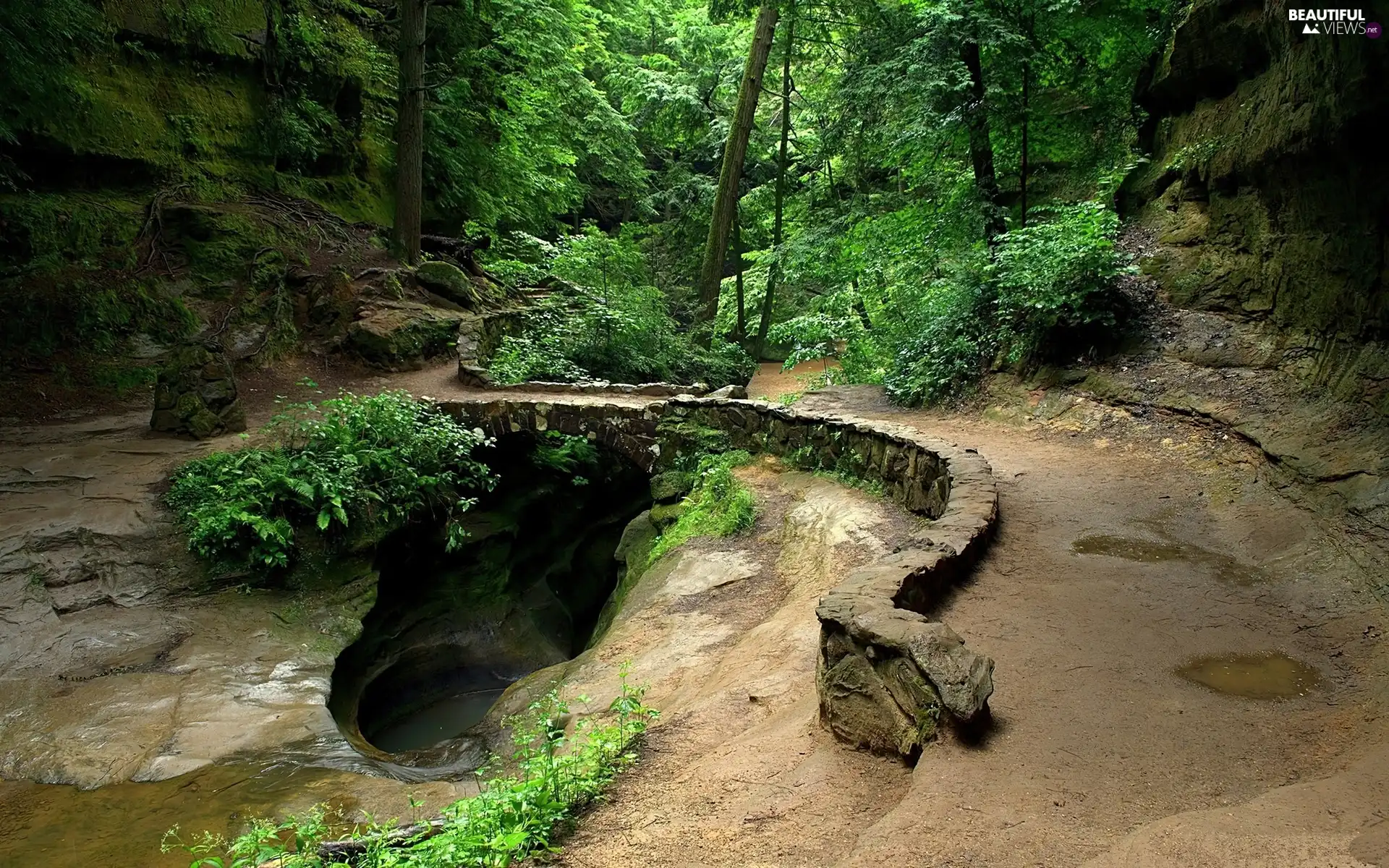 forest, Path, spring, rocks