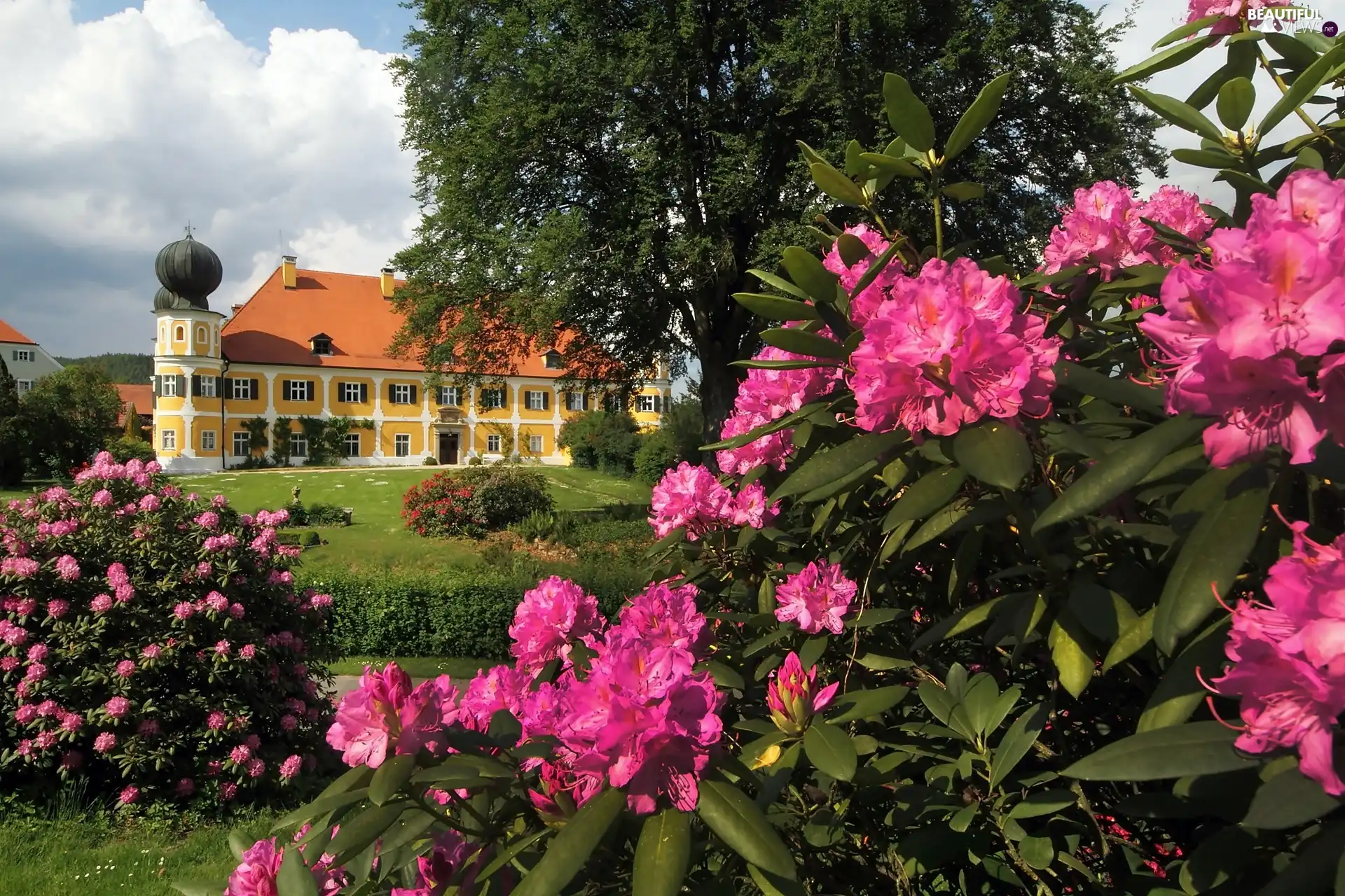 Spring, Rhododendrons, Ramspau, Park, Castle