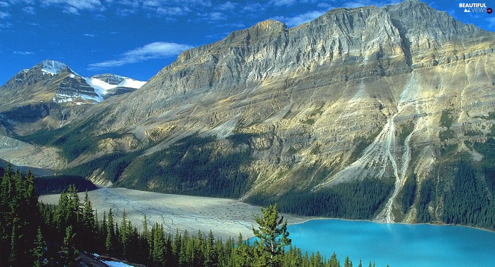 Spruces, Mountains, lake