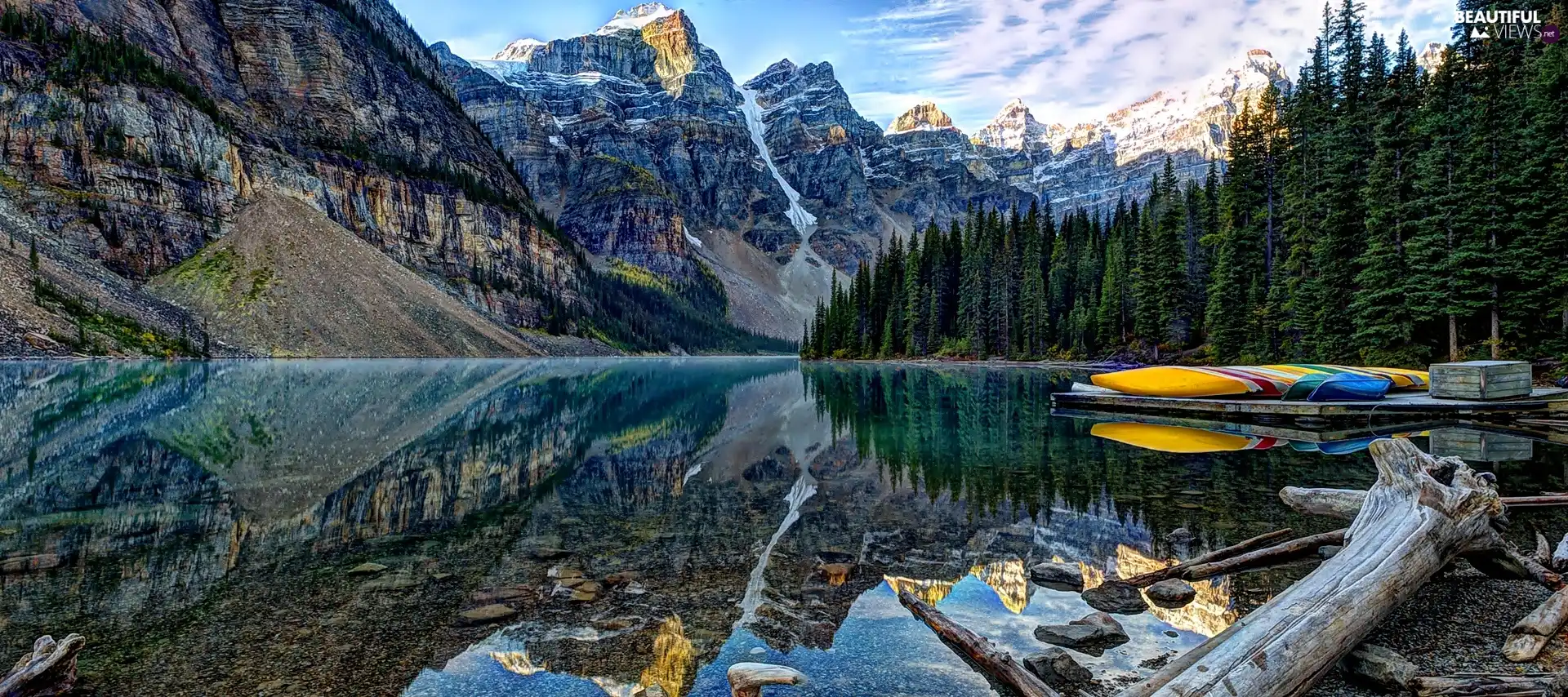 Spruces, lake, Mountains