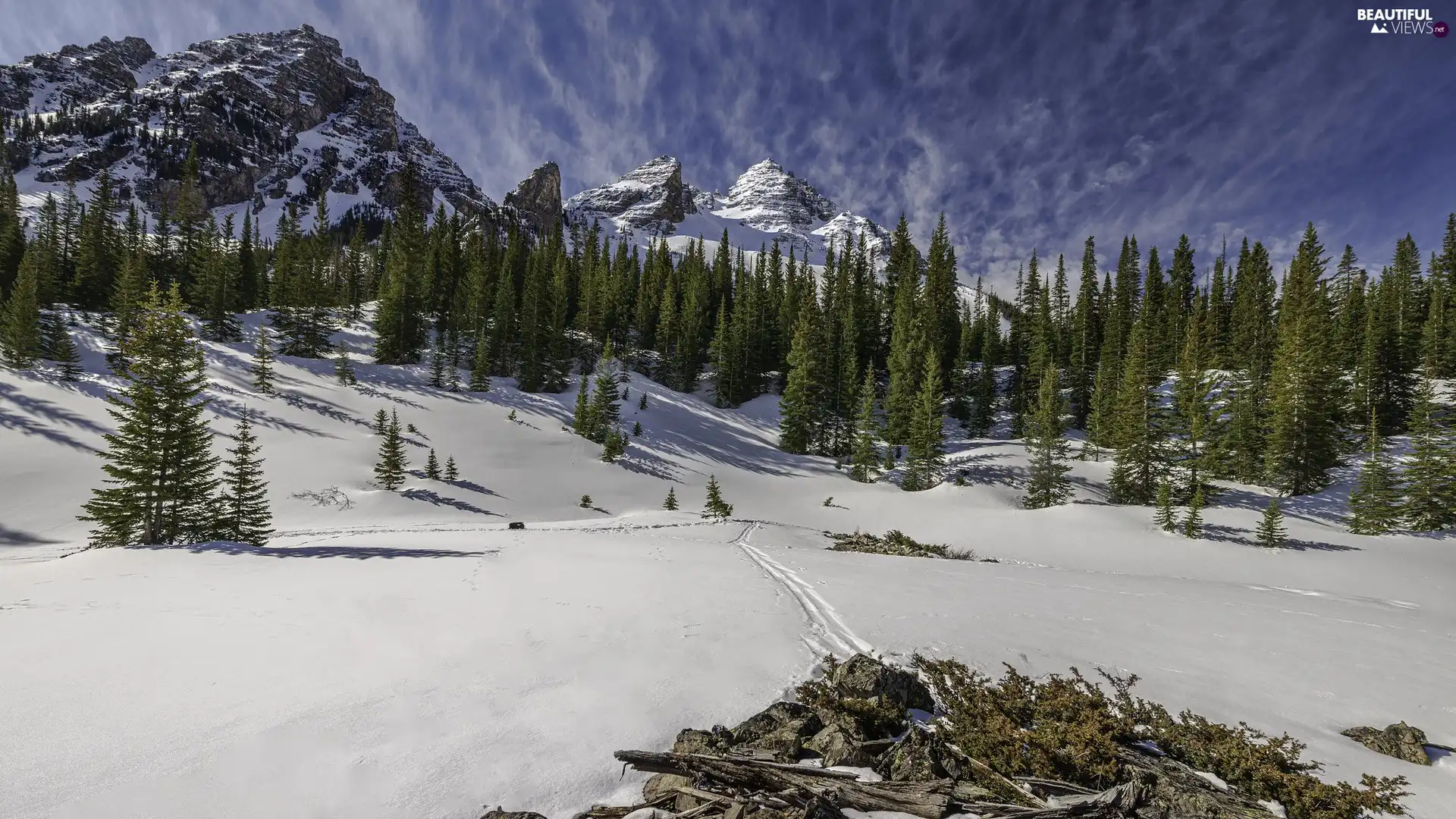 snow, winter, viewes, Spruces, trees, Mountains