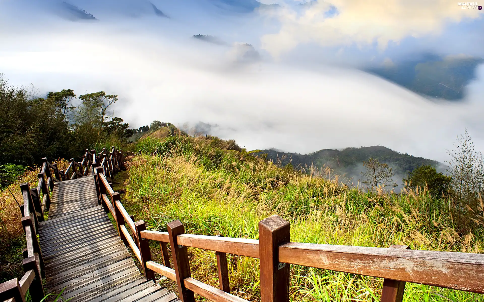 Mountains, grass, Stairs, Fog