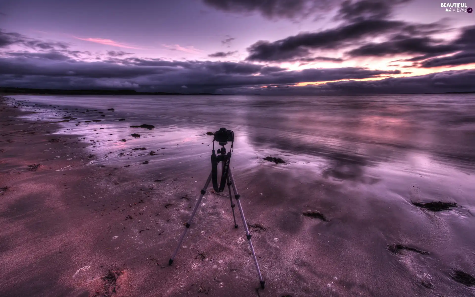 Beaches, Camera, stand, sea