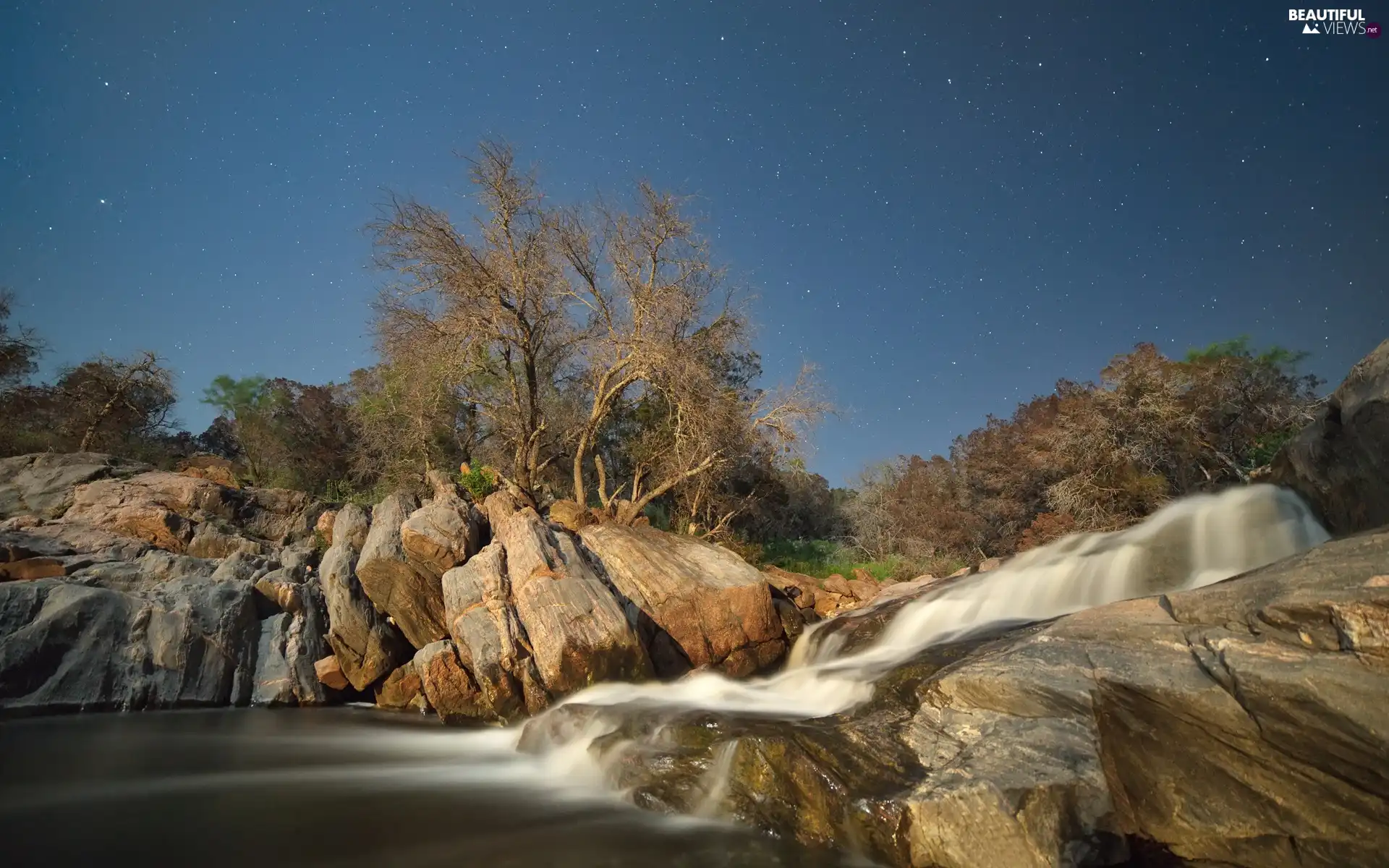 trees, brook, Starlit, Sky, viewes, rocks