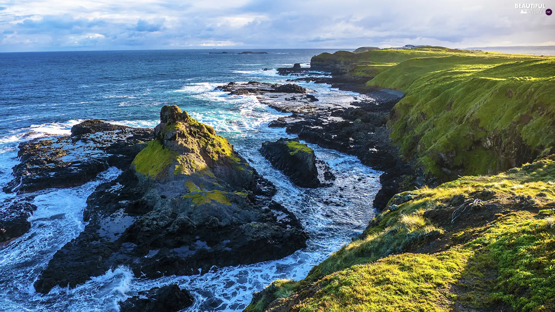 State of Victoria, sea, rocks, Phillip Island, Coast, Australia, VEGETATION