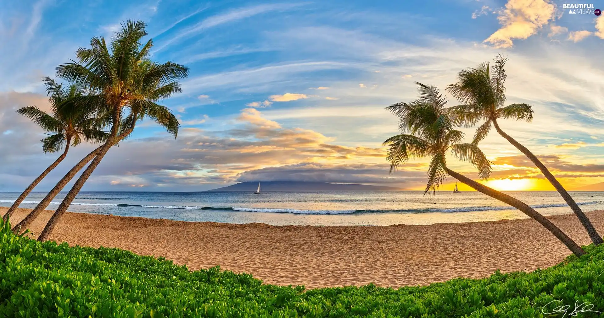 Kaanapali Beach, Palms, Sailboats, VEGETATION, clouds, Maui Island, Aloha State Hawaje, Sunrise