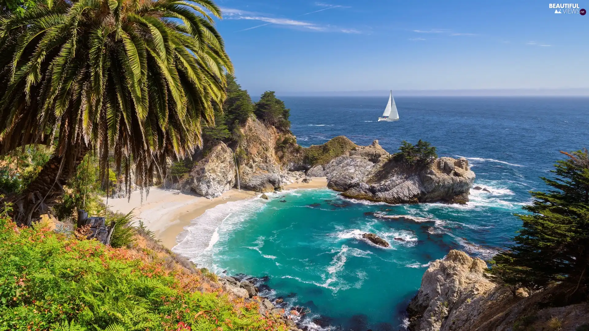 trees, rocks, California, sea, The United States, Palm, McWay Cove, viewes, Coast, Julia Pfeiffer Burns State Park, Yacht, VEGETATION, Gulf