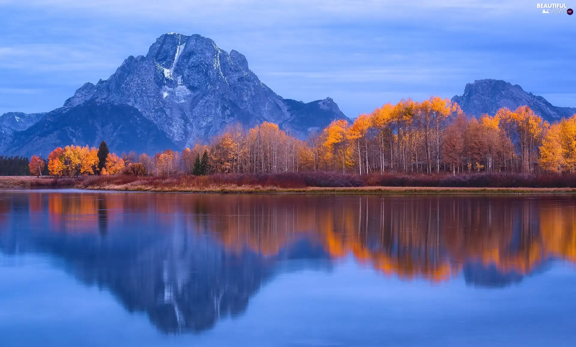 State of Wyoming, The United States, Grand Teton National Park, Snake River, viewes, autumn, Mount Moran, trees, Mountains
