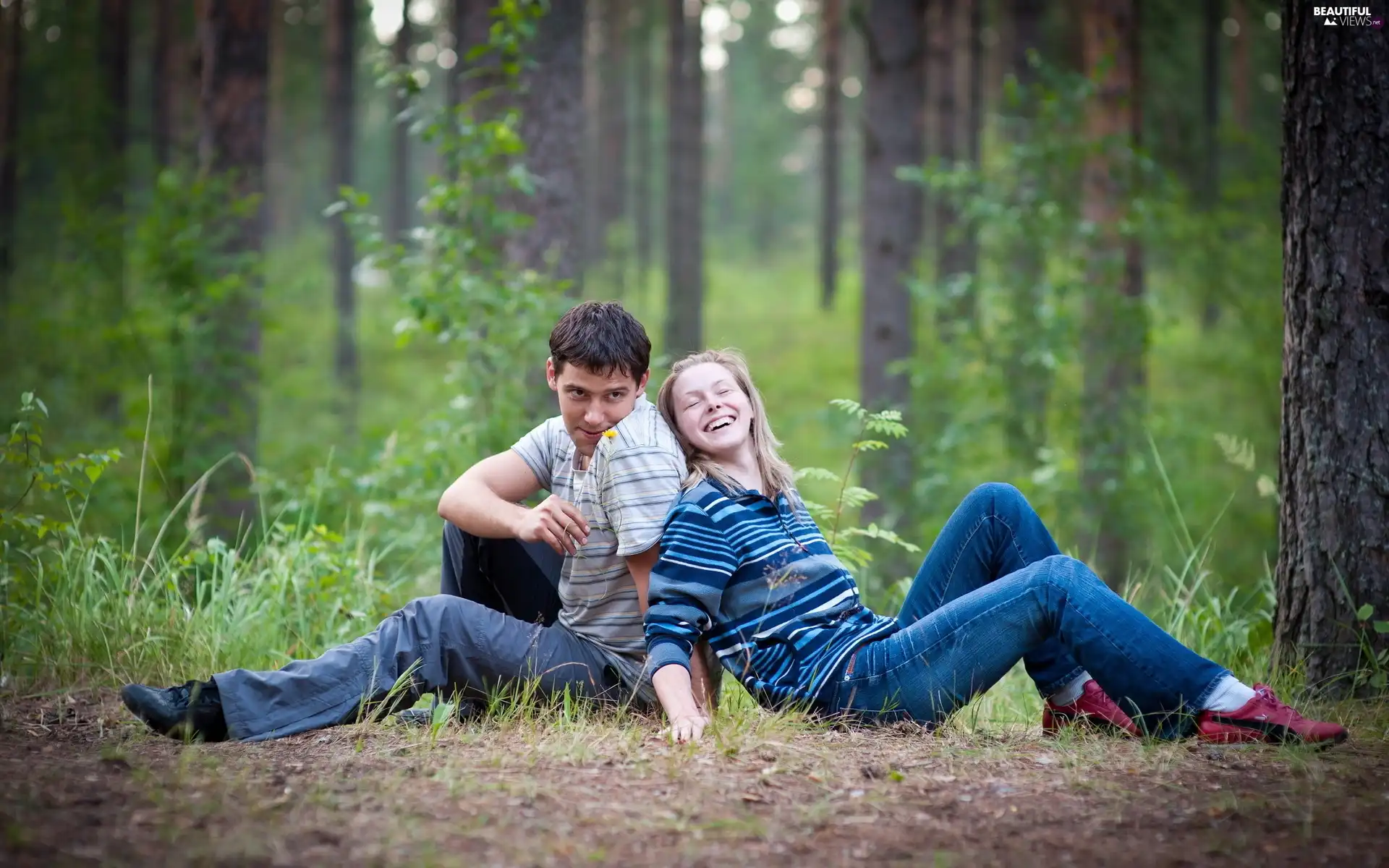 love, joy, car in the meadow, Steam, forest