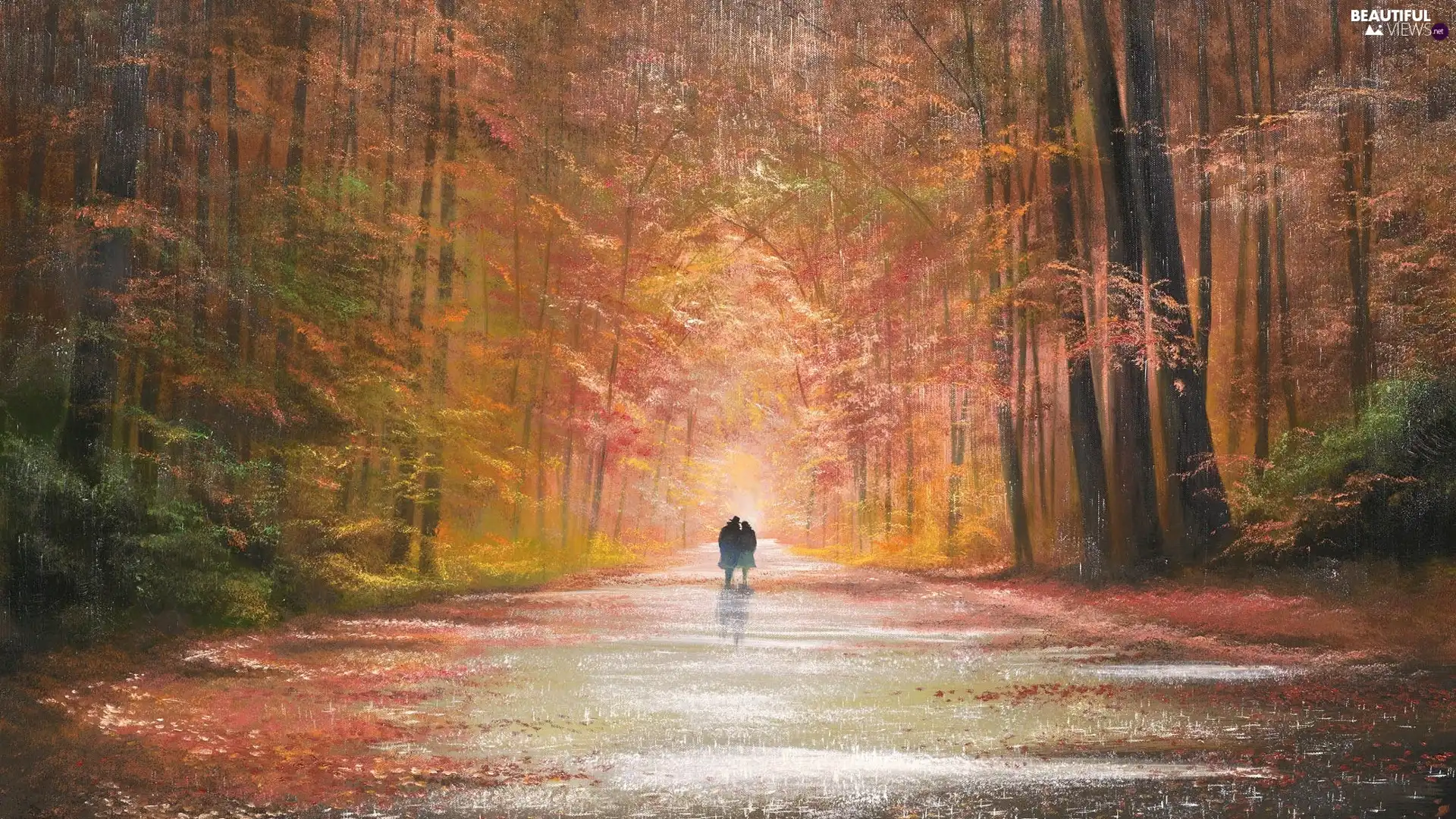 Park, picture, Steam, walkers, Rain, forest