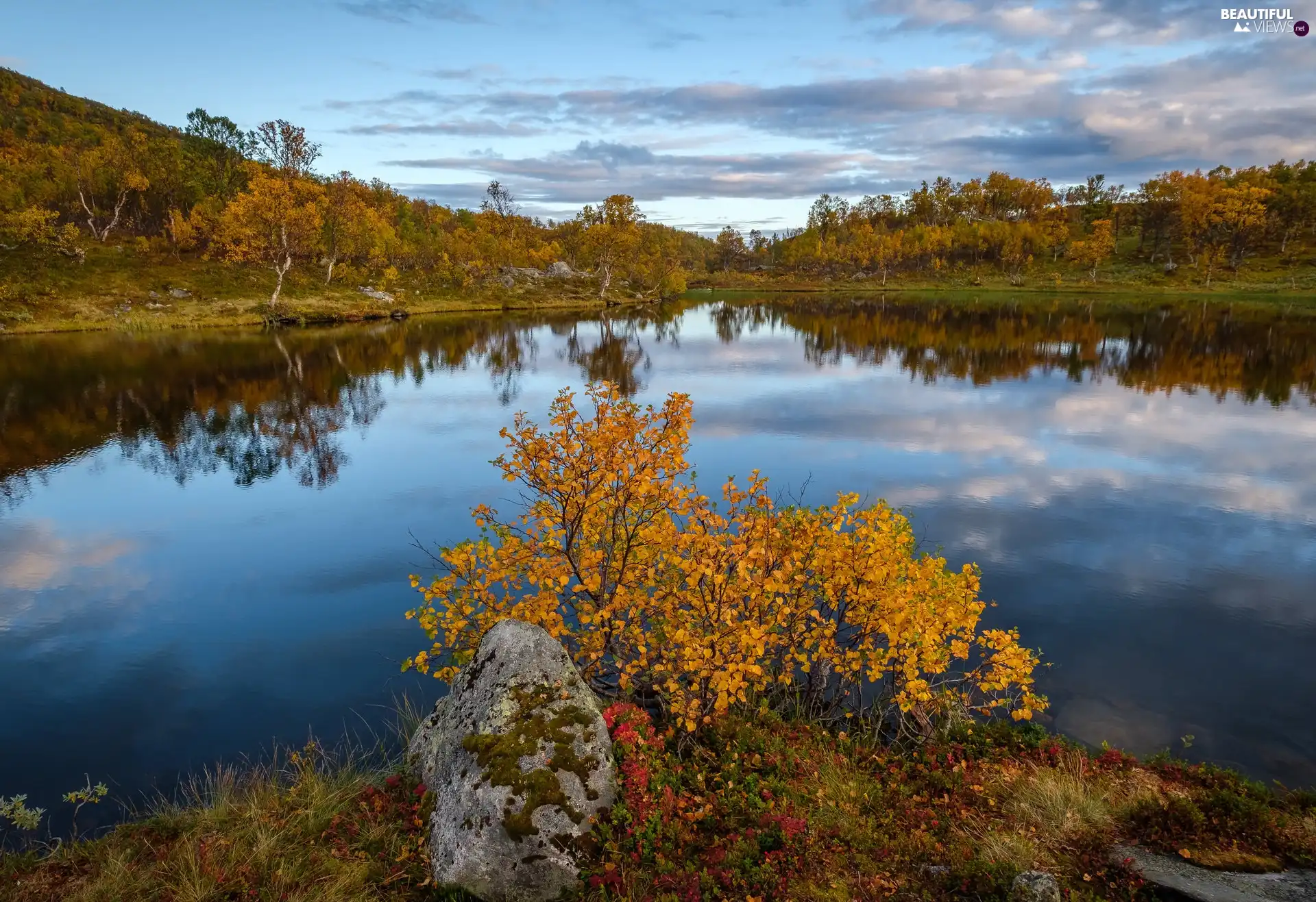 trees, autumn, Bush, Stone, viewes, lake