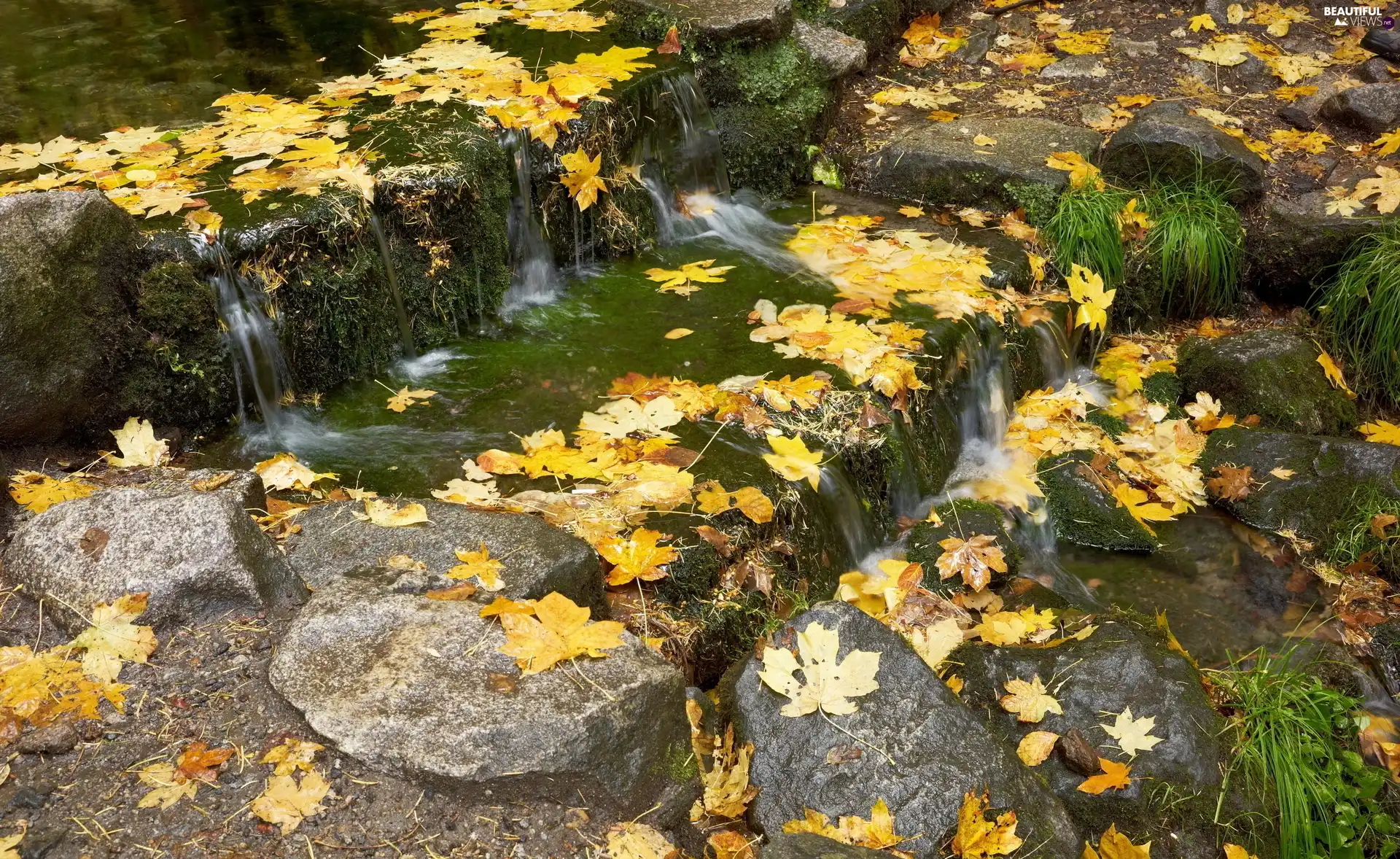 autumn, Leaf, Stones, cascade