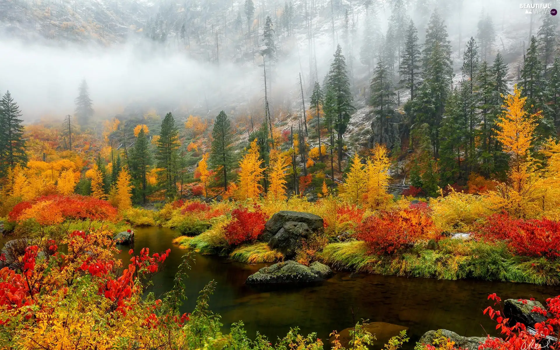 Stones, forest, viewes, color, Fog, autumn, trees, Leaf, Bush, River