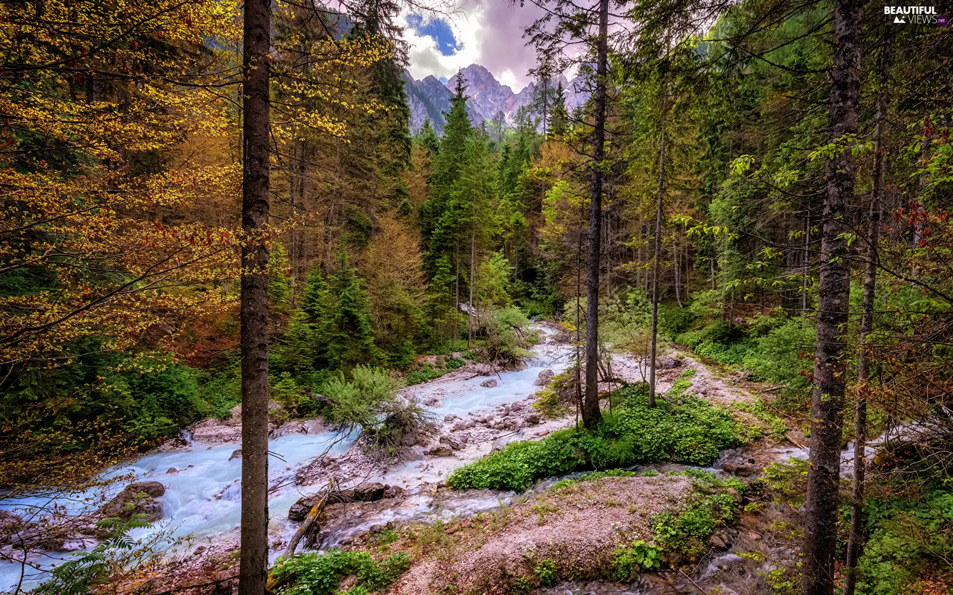 viewes, River, clouds, stream, Mountains, trees, forest, Stones