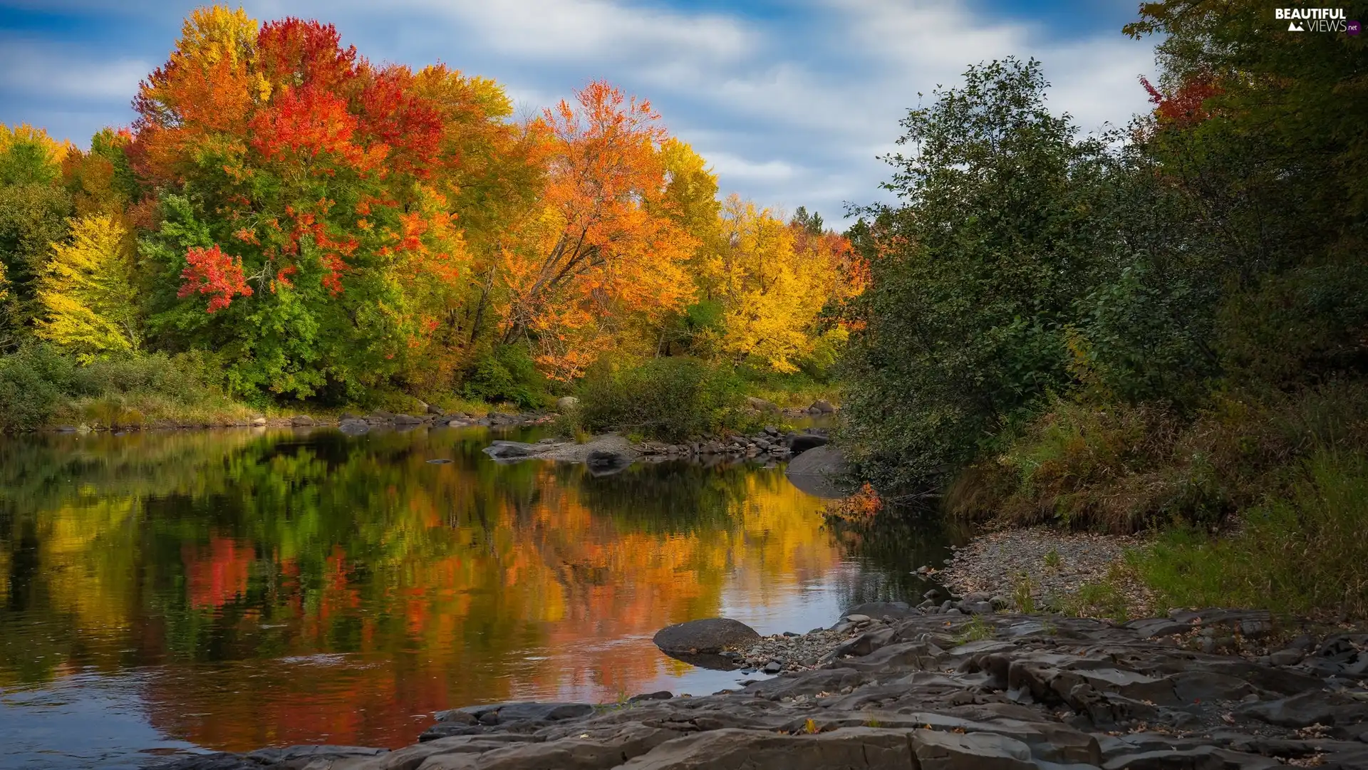 trees, autumn, River, Stones, viewes, color