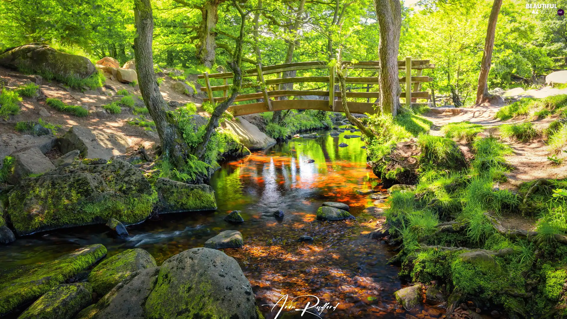 bridges, trees, day, viewes, sunny, wooden, River, Stones