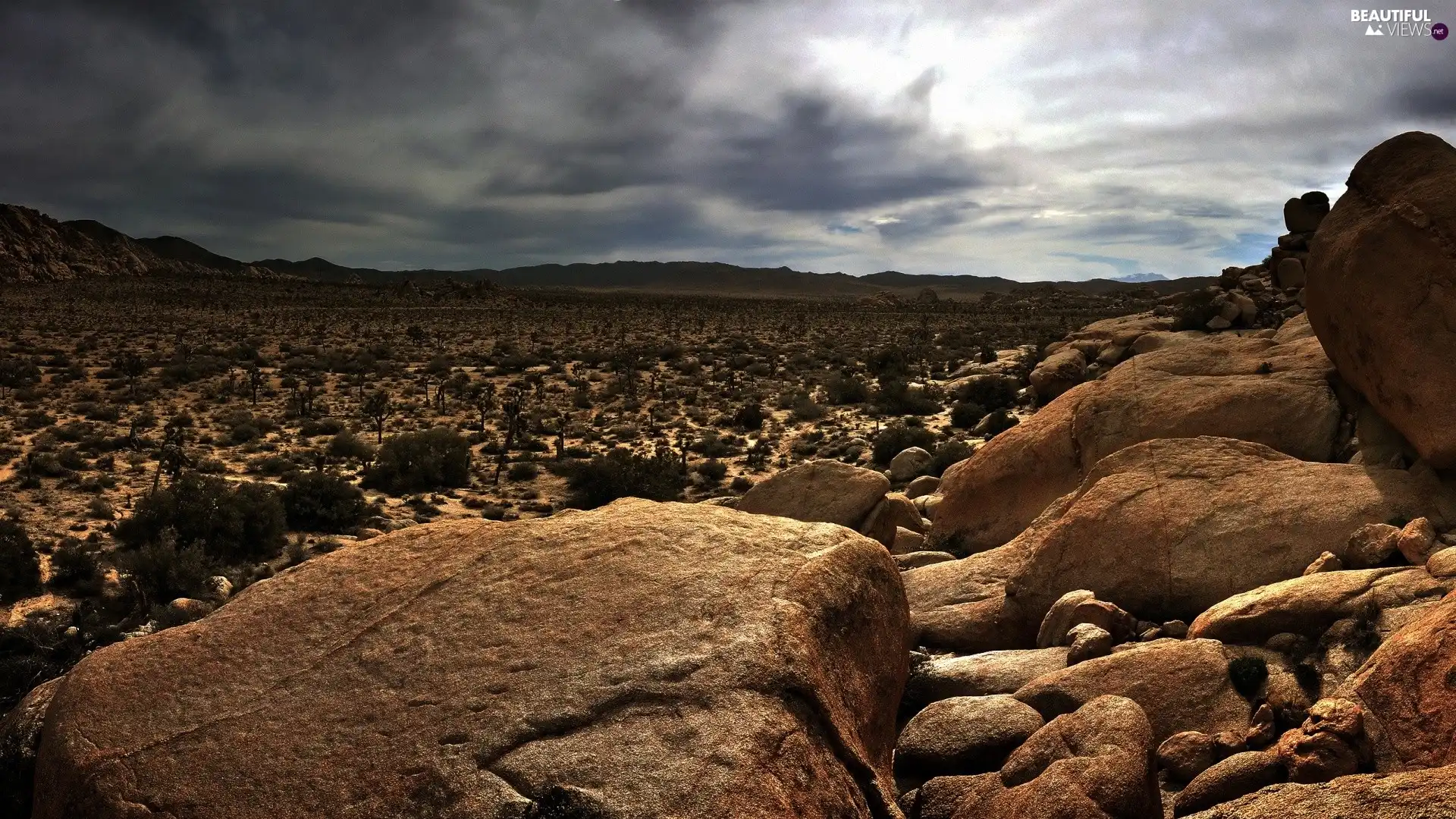 Desert, Stones