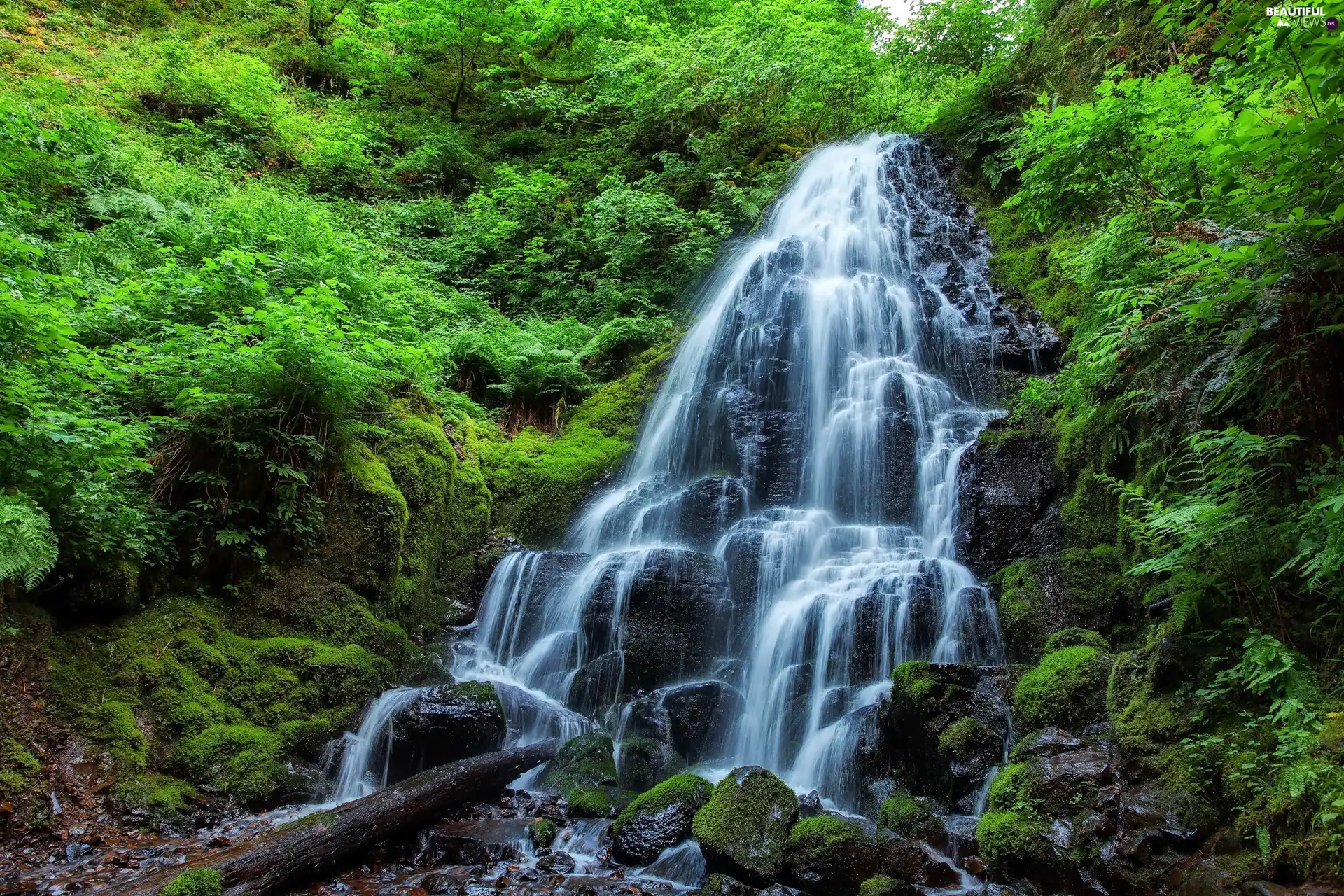 Stones, waterfall, forest