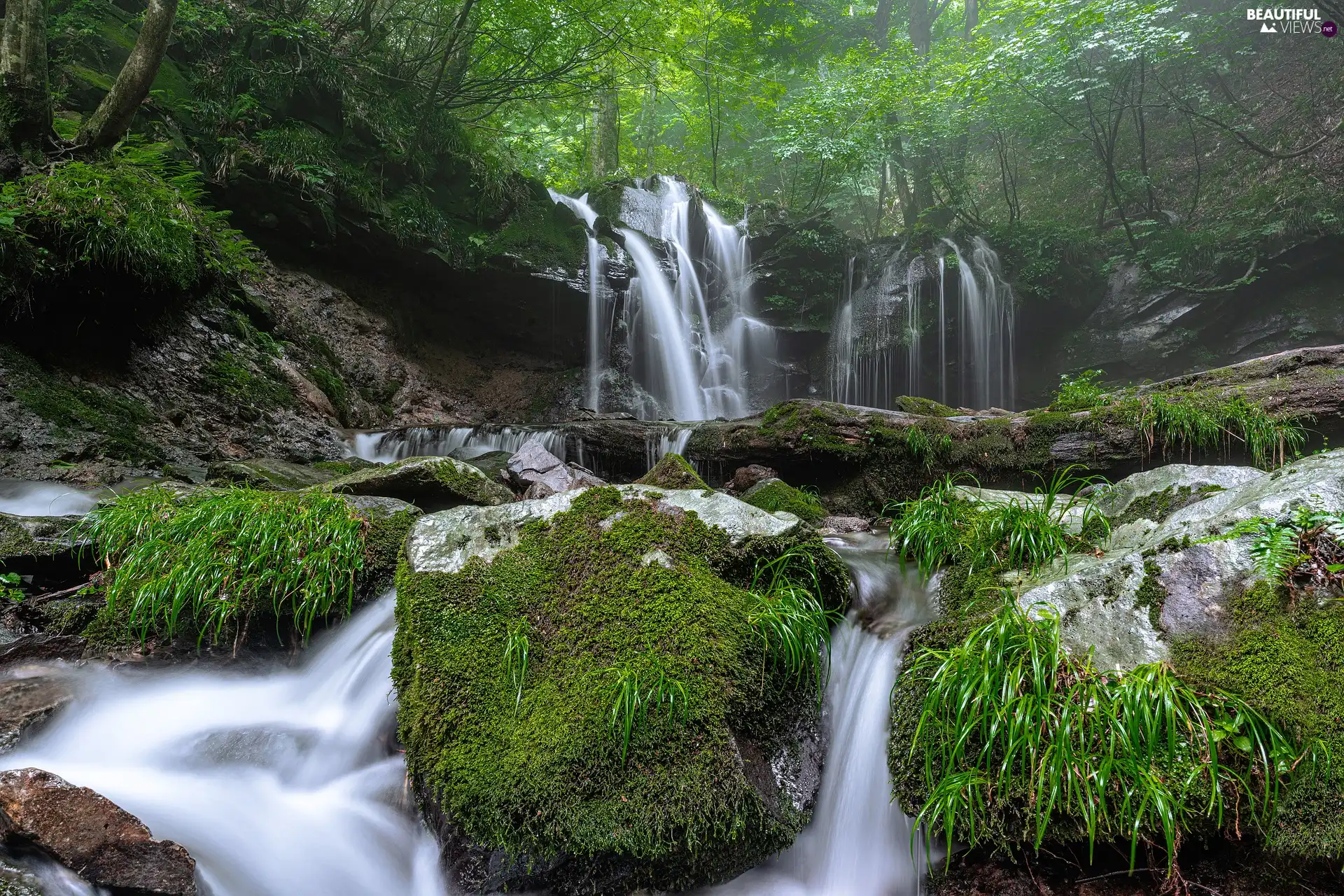 mossy, Stones, forest, VEGETATION, waterfall