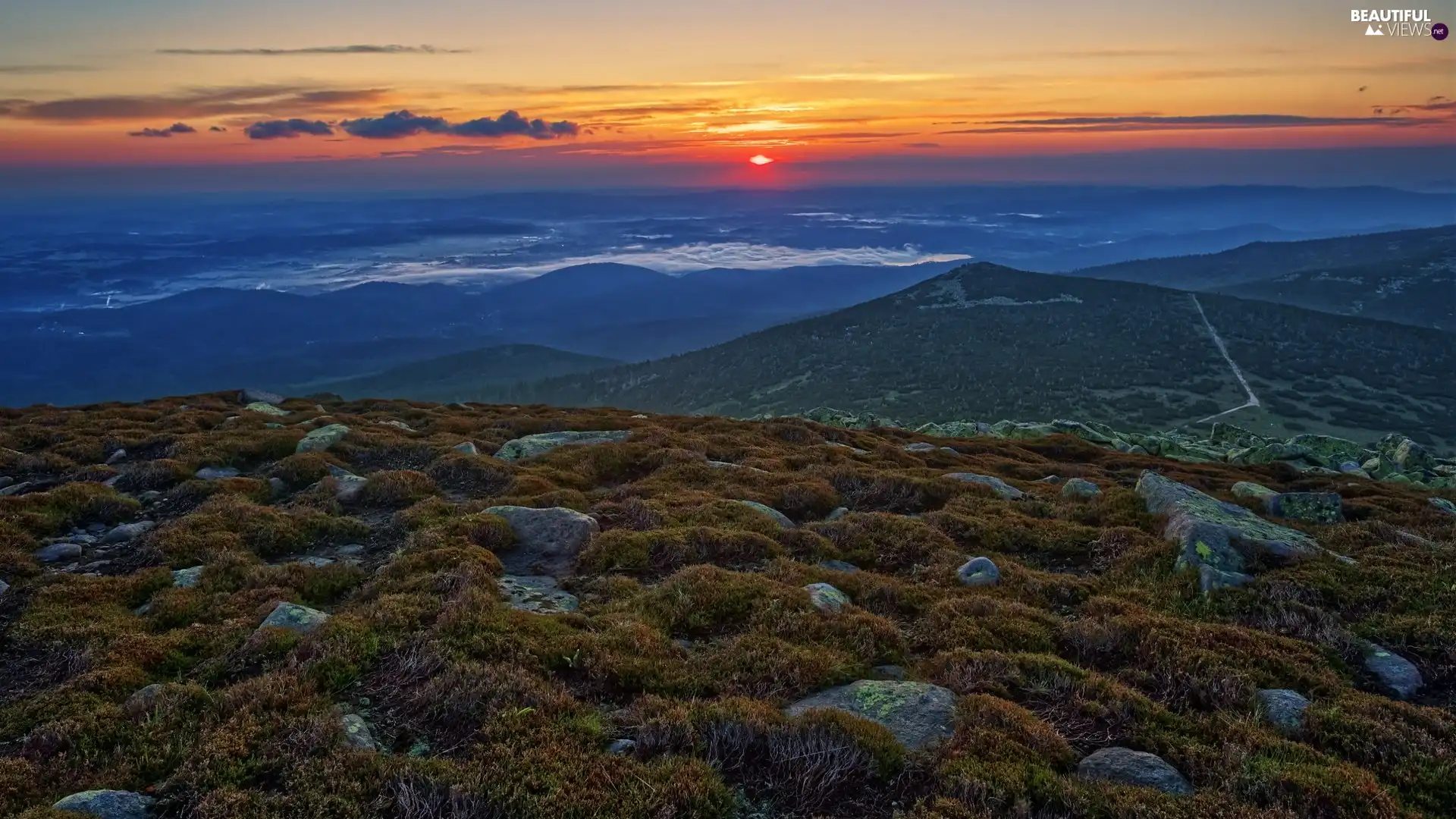 Stones, The Hills, Giant Mountains, Plants, Sunrise, Mountains, Poland