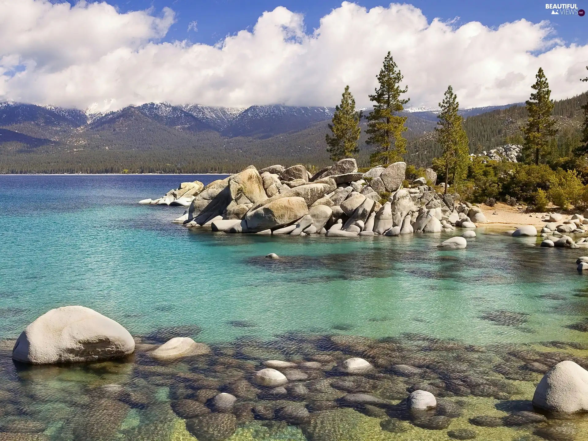 Stones, forest, lake