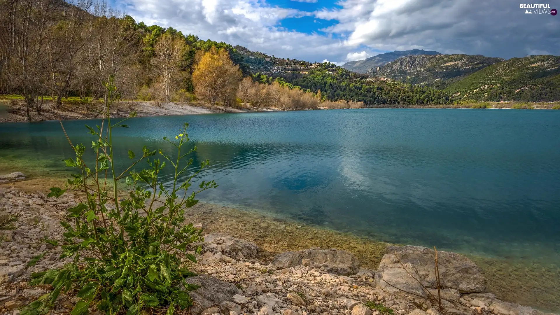 trees, Mountains, plant, Stones, viewes, lake