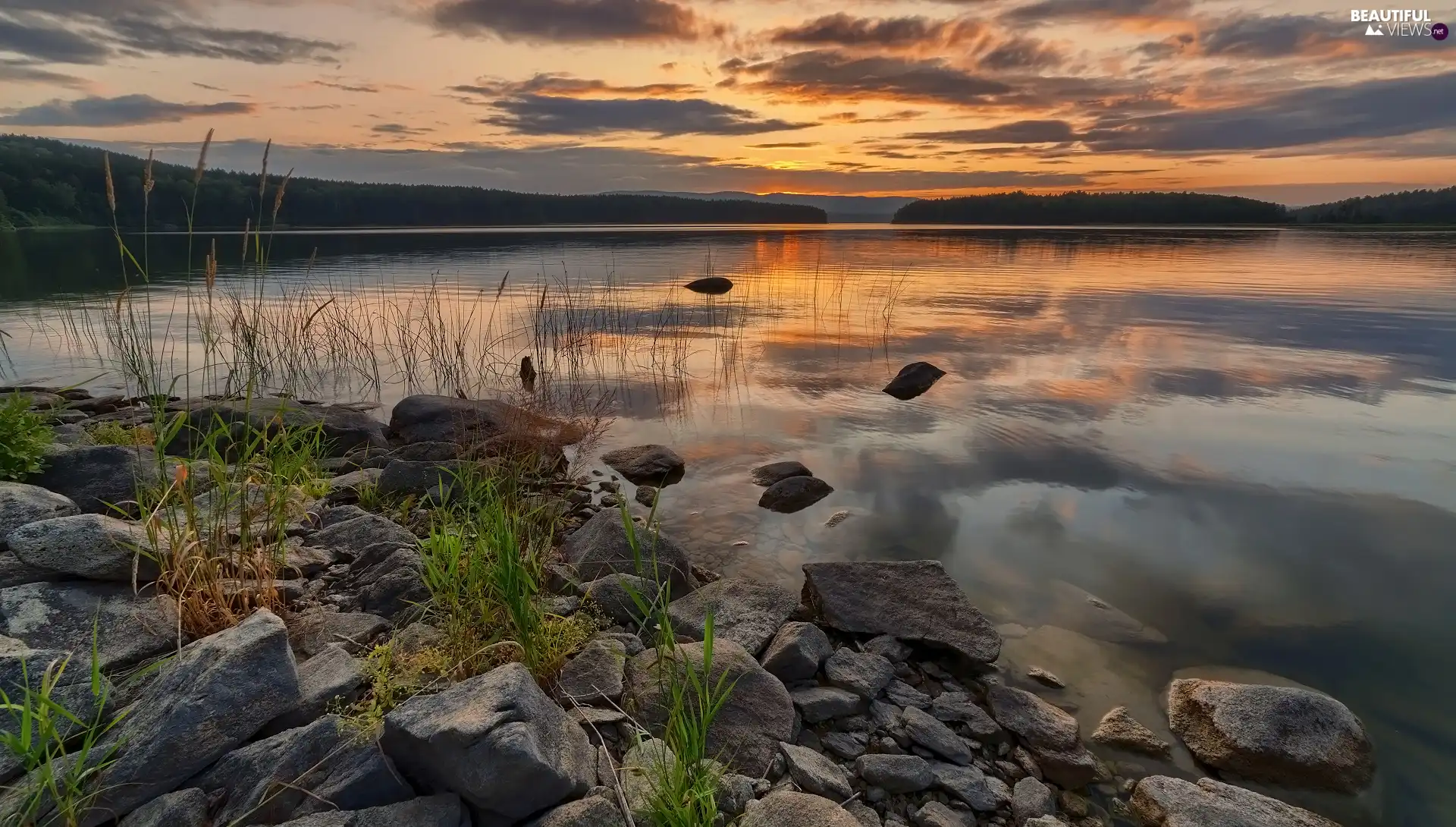 Plants, Great Sunsets, Stones, grass, lake