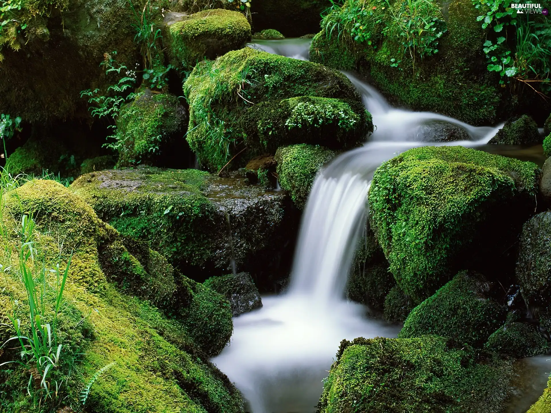 Stones, waterfall, mossy