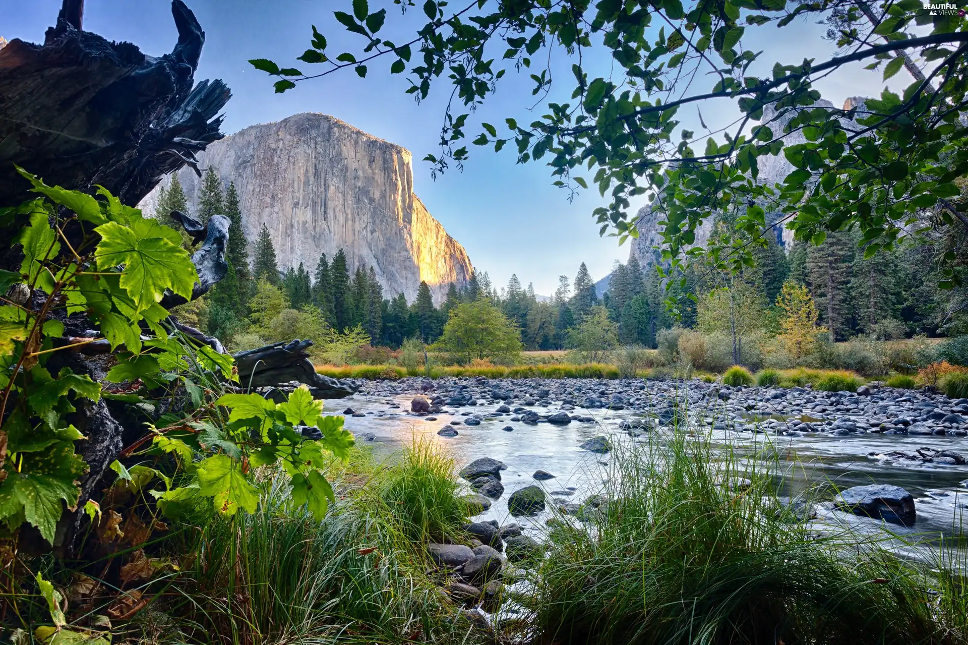 Mountains, River, Stones, forest