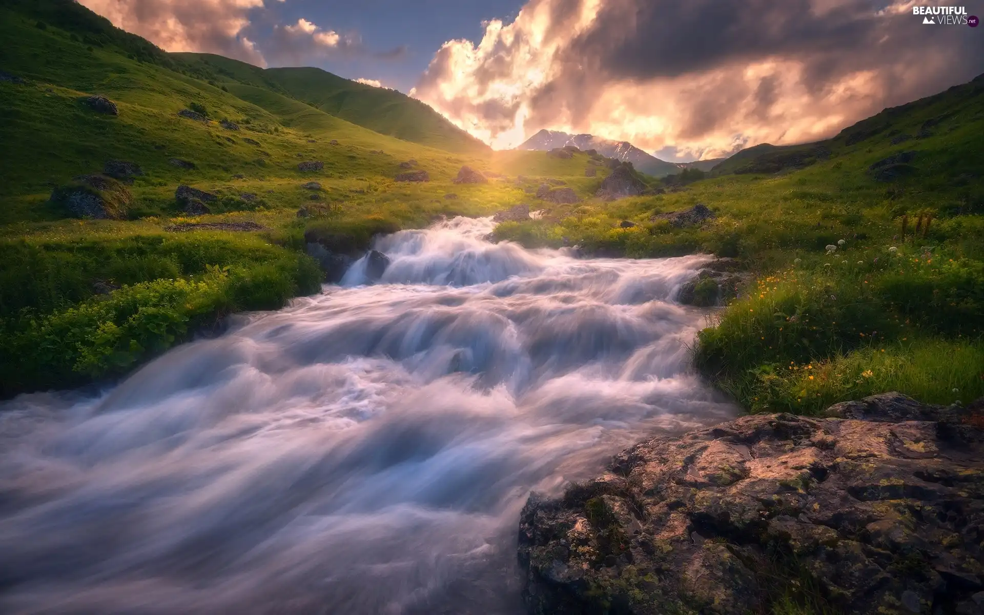 Flowers, Stones, Mountains, Meadow, River