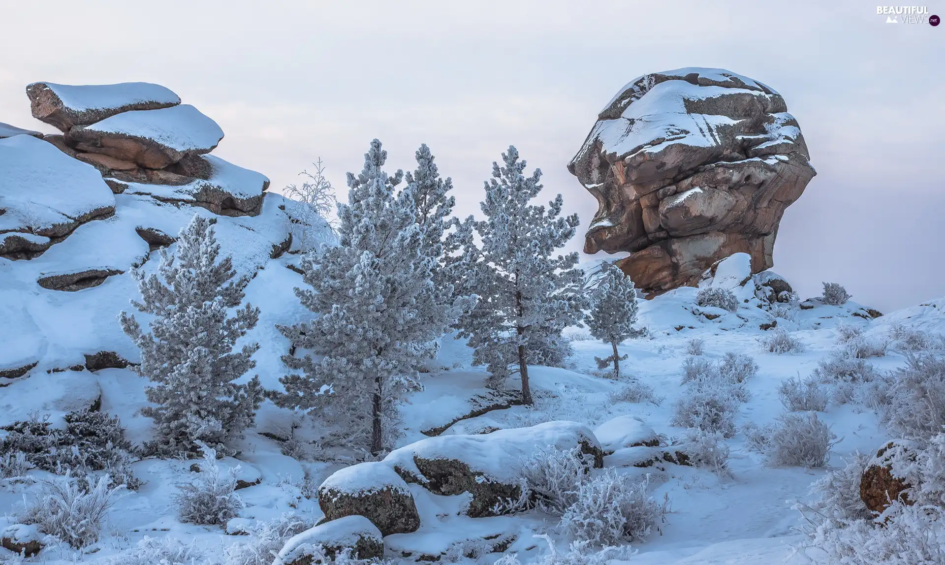 trees, winter, rocks, Stones, viewes, Mountains