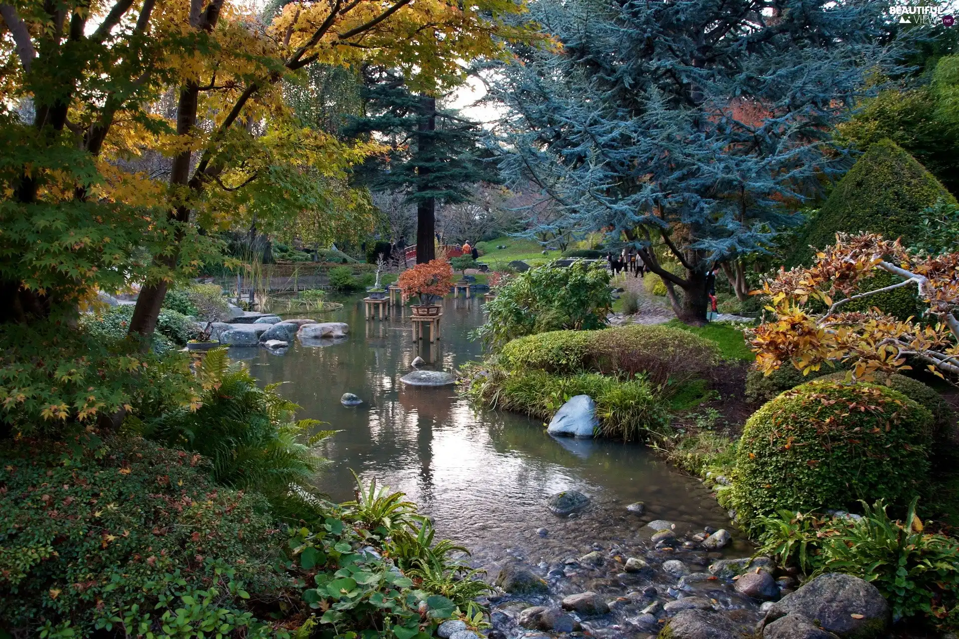 viewes, Park, Stones, Plants, brook, trees